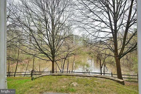 a view of yard with trees
