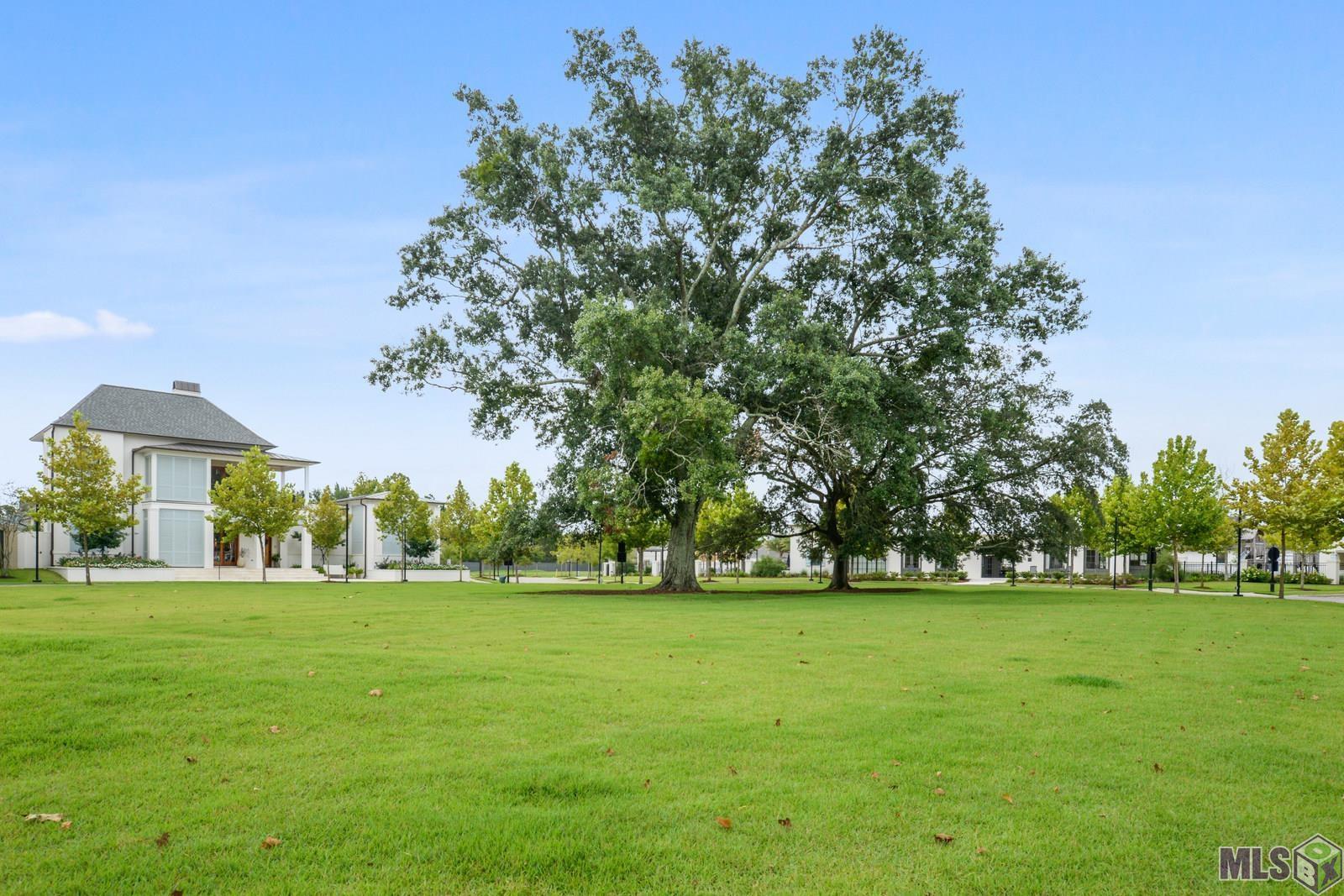 1914 Verte Drive Baton Rouge, LA 70808 - Photo 25 of 25