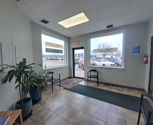414 County Road Southampton, NY 11968 - Photo 2 of 5 a living room with furniture and a potted plant