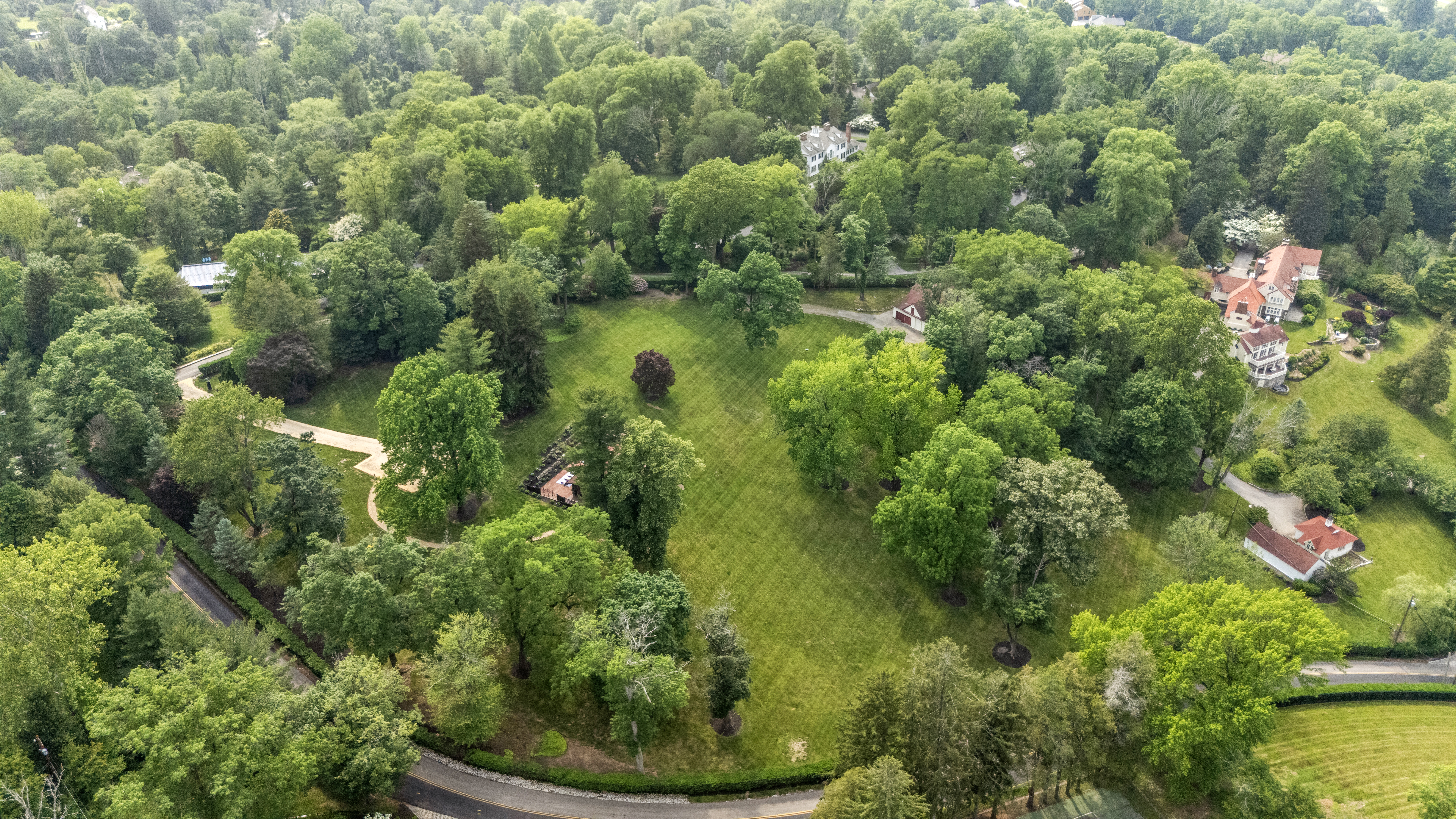 a view of a garden with plants