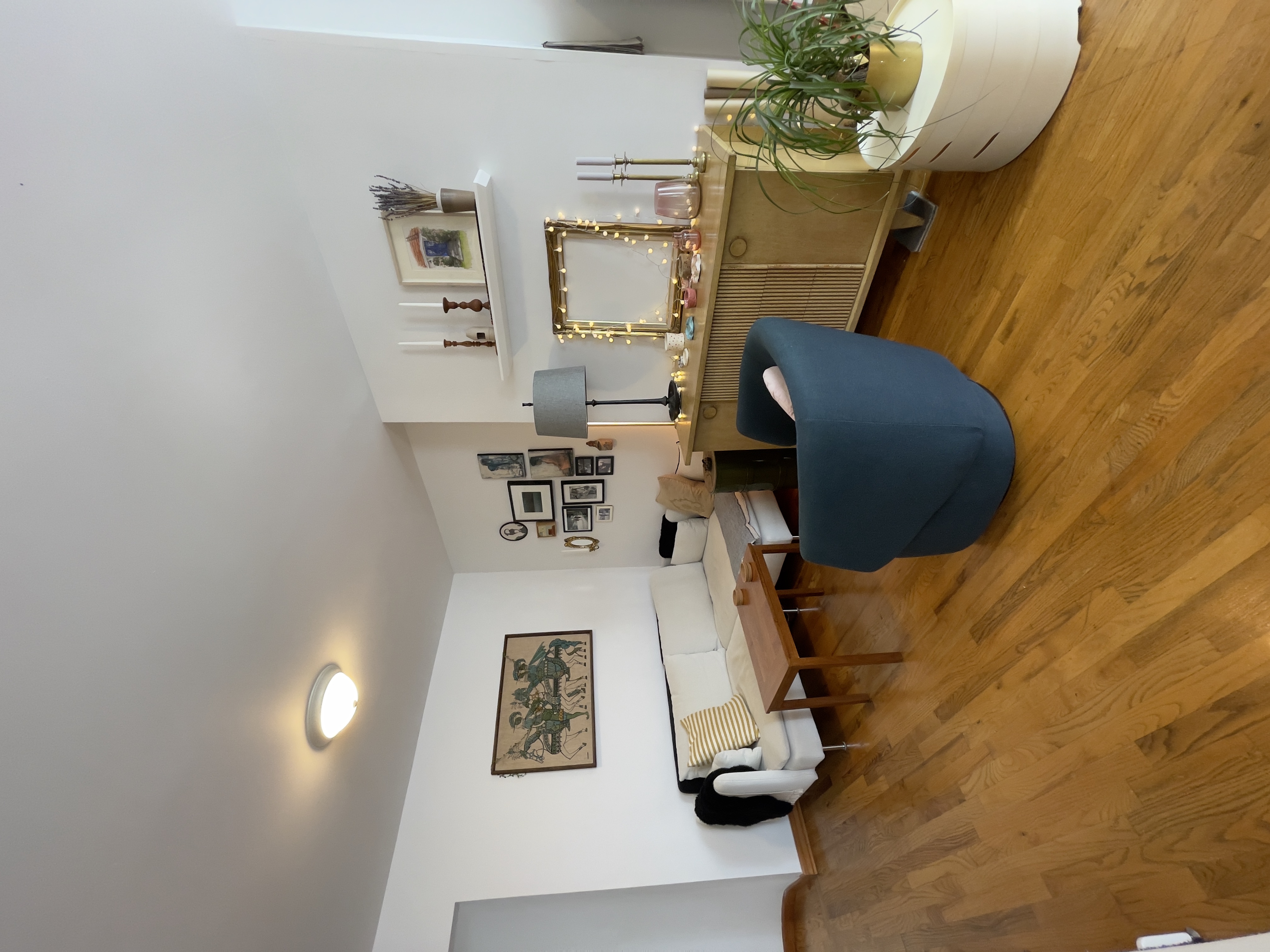 250 19th Street, Unit 3A Brooklyn, NY 11215 - Photo 4 of 15 a living room with furniture and a potted plant