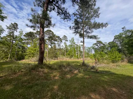 $15,000 | Lake Forest Drive, Livingston, TX 77351