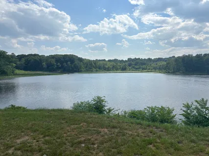 a view of a lake from a yard