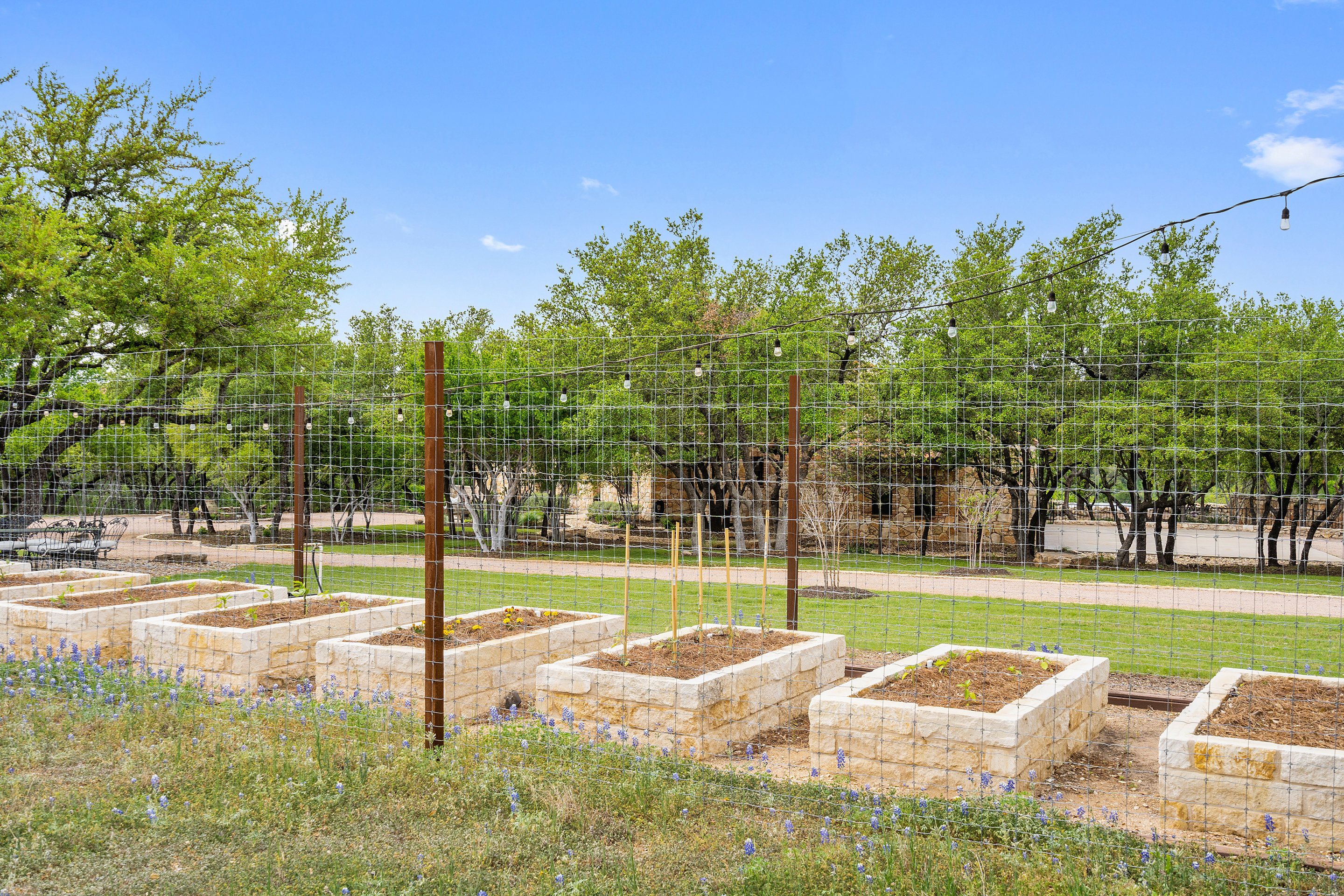 808 Rivercliff Drive Spicewood, TX 78669 - Photo 68 of 71 a view of a park with tree s