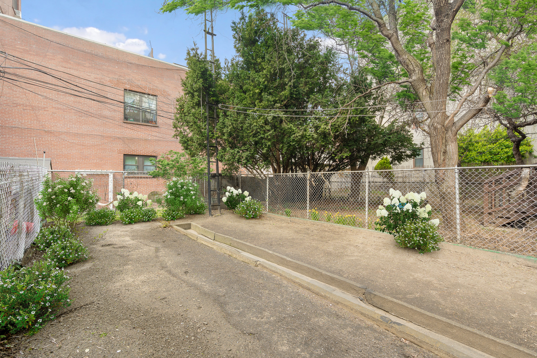 147 Eckford Street Brooklyn, NY 11222 - Photo 6 of 9 front view of a house with a garden