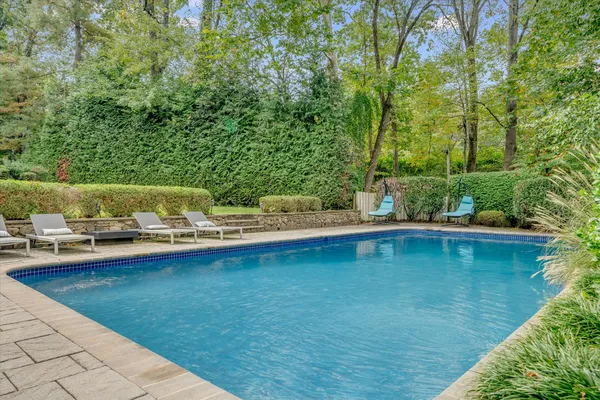 a view of a swimming pool with lounge chair