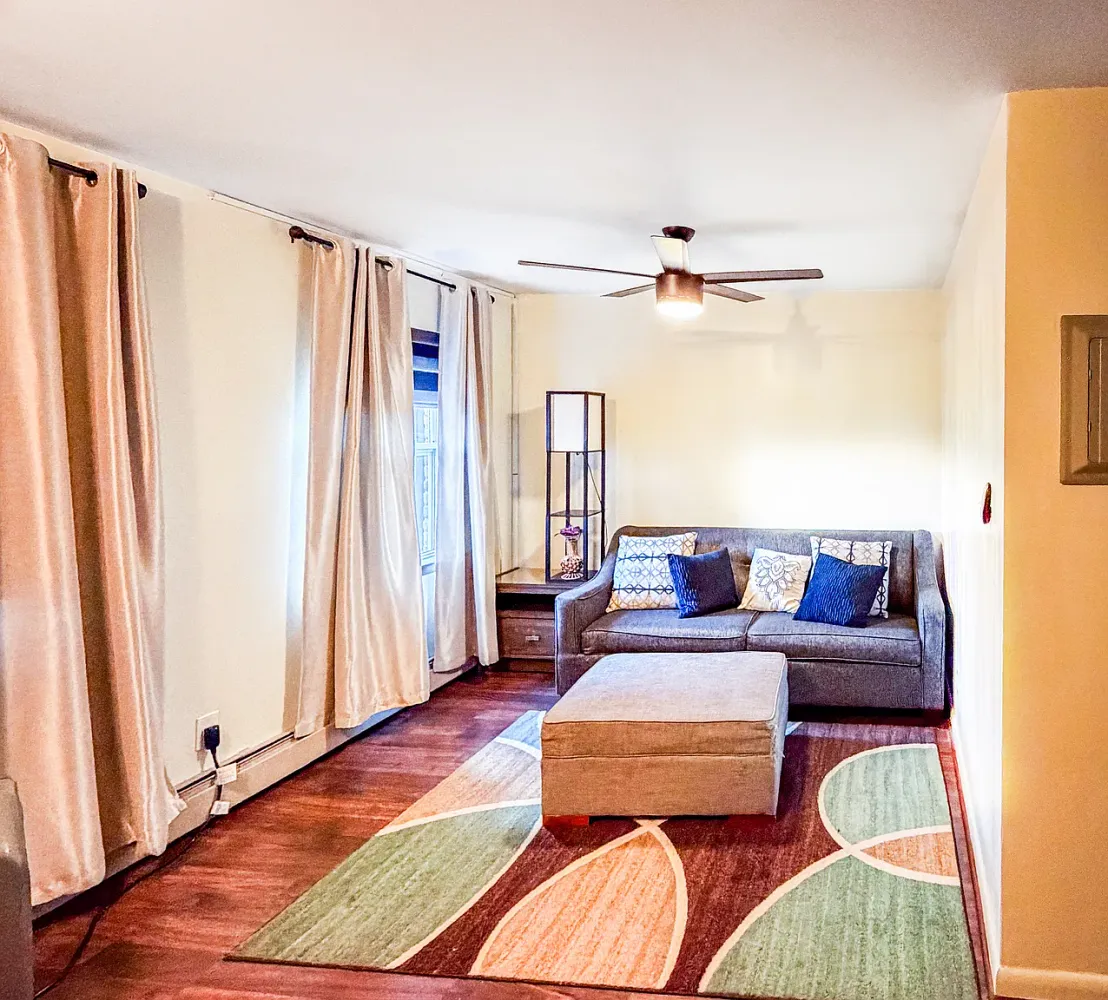 a living room with furniture and a rug