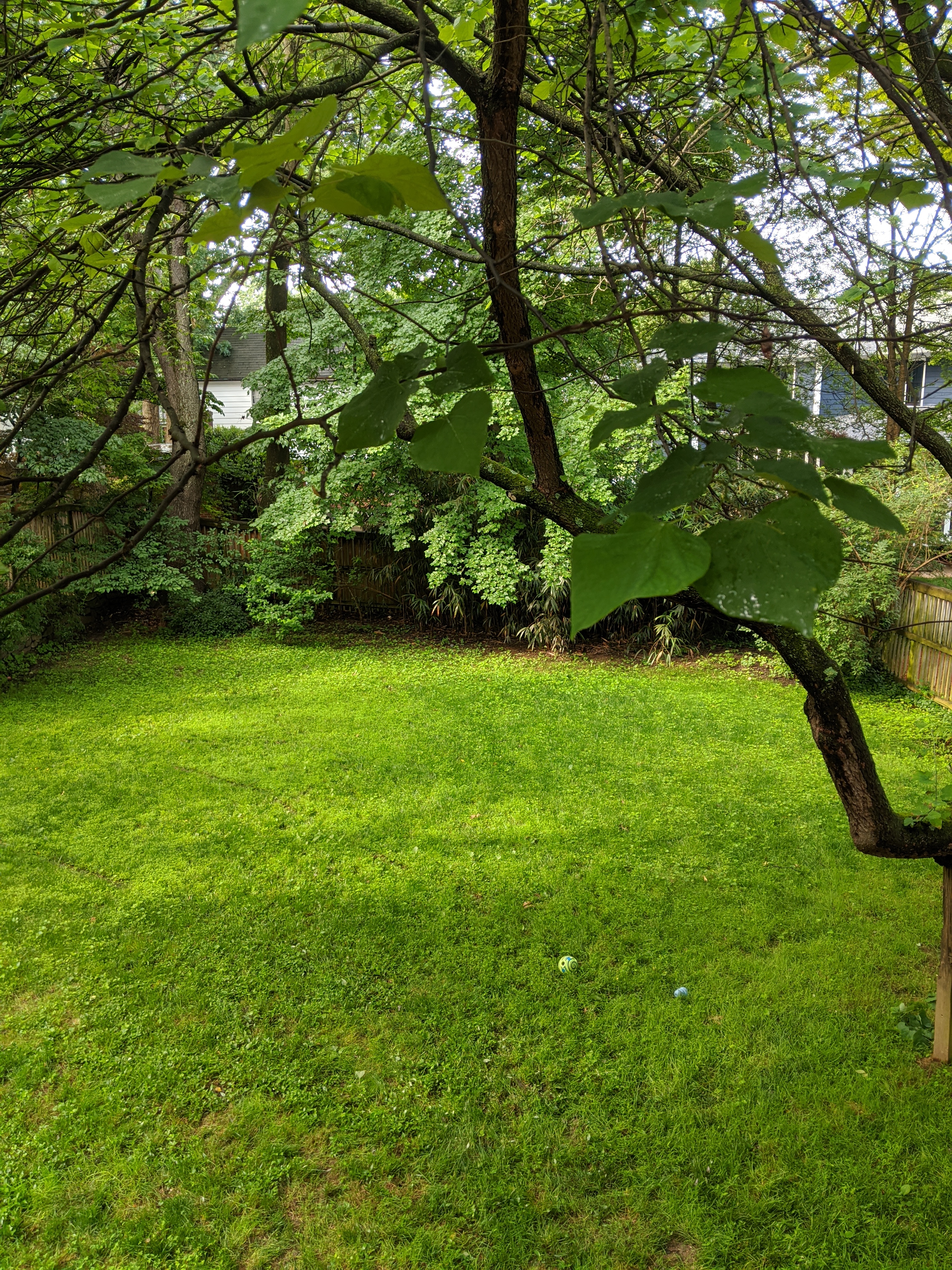 5606 Overlea Road Bethesda, MD 20816 - Photo 11 of 13