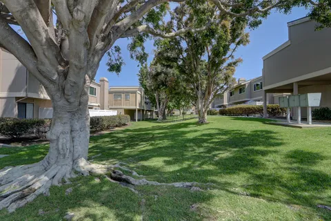 a view of a yard in front of a brick house with a large tree