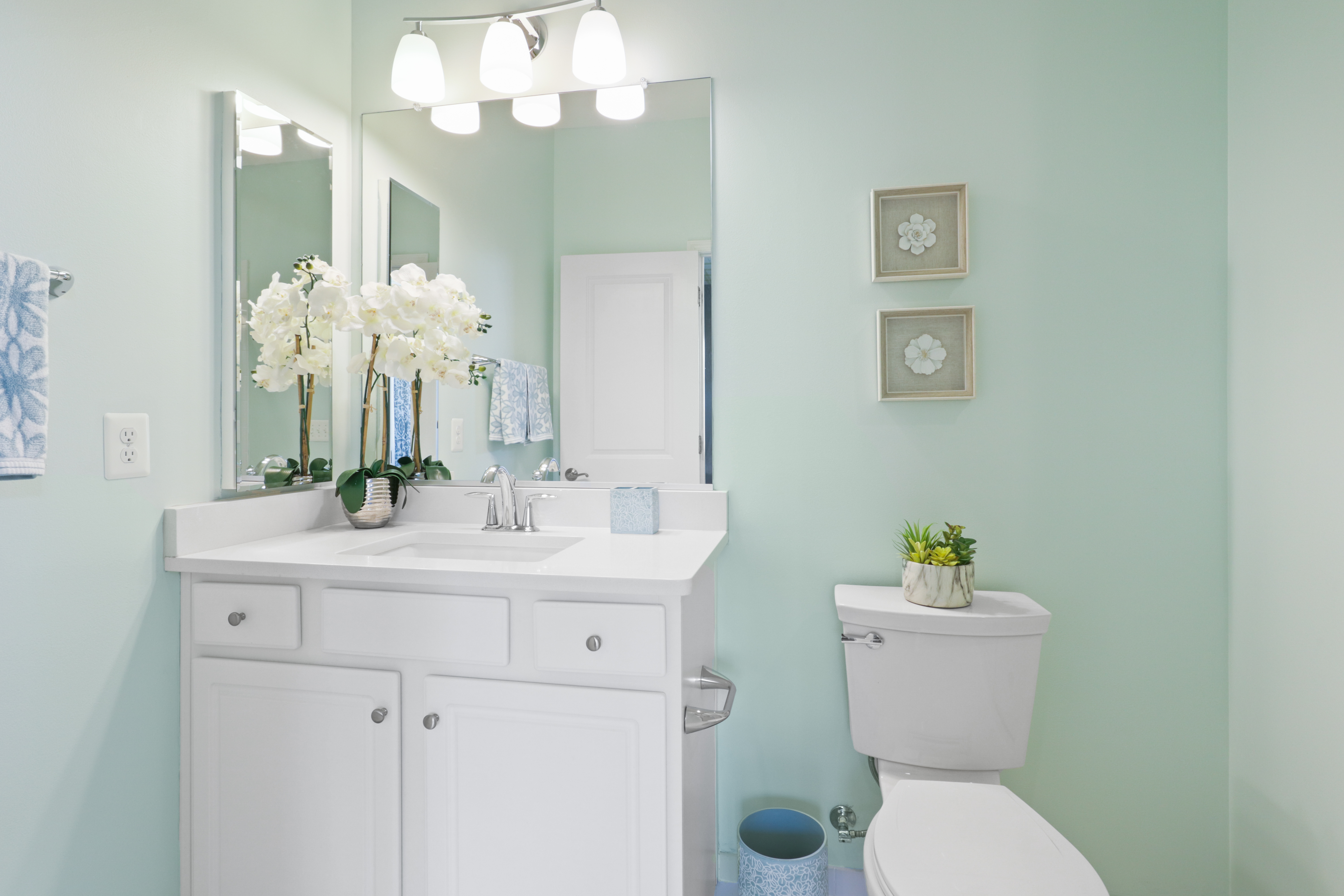 9101 Power House Road Lorton, VA 22079 - Photo 32 of 75 a bathroom with a toilet a sink and mirror