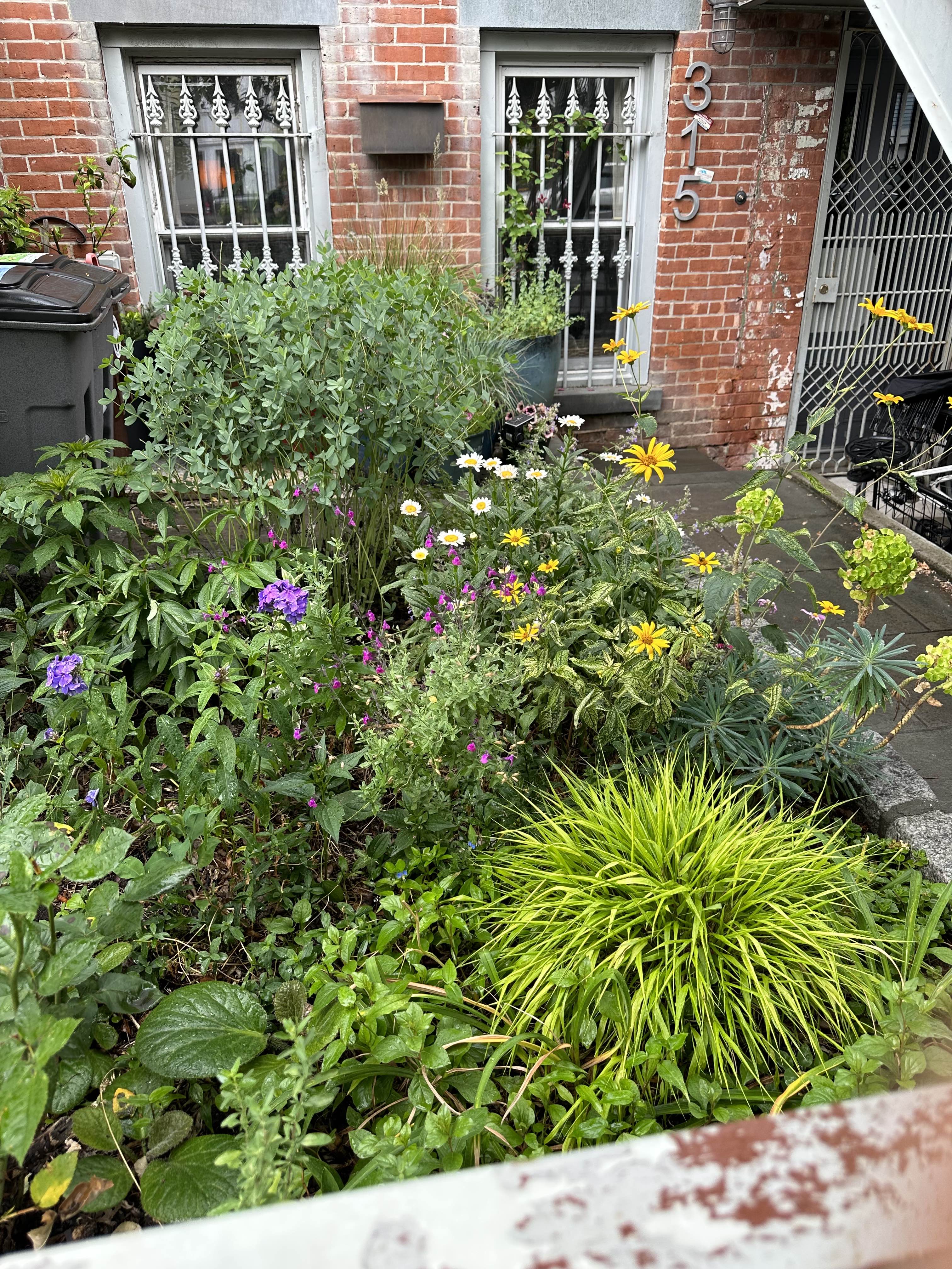 315 15th Street Brooklyn, NY 11215 - Photo 20 of 25 a backyard of a house with lots of green space and wooden fence