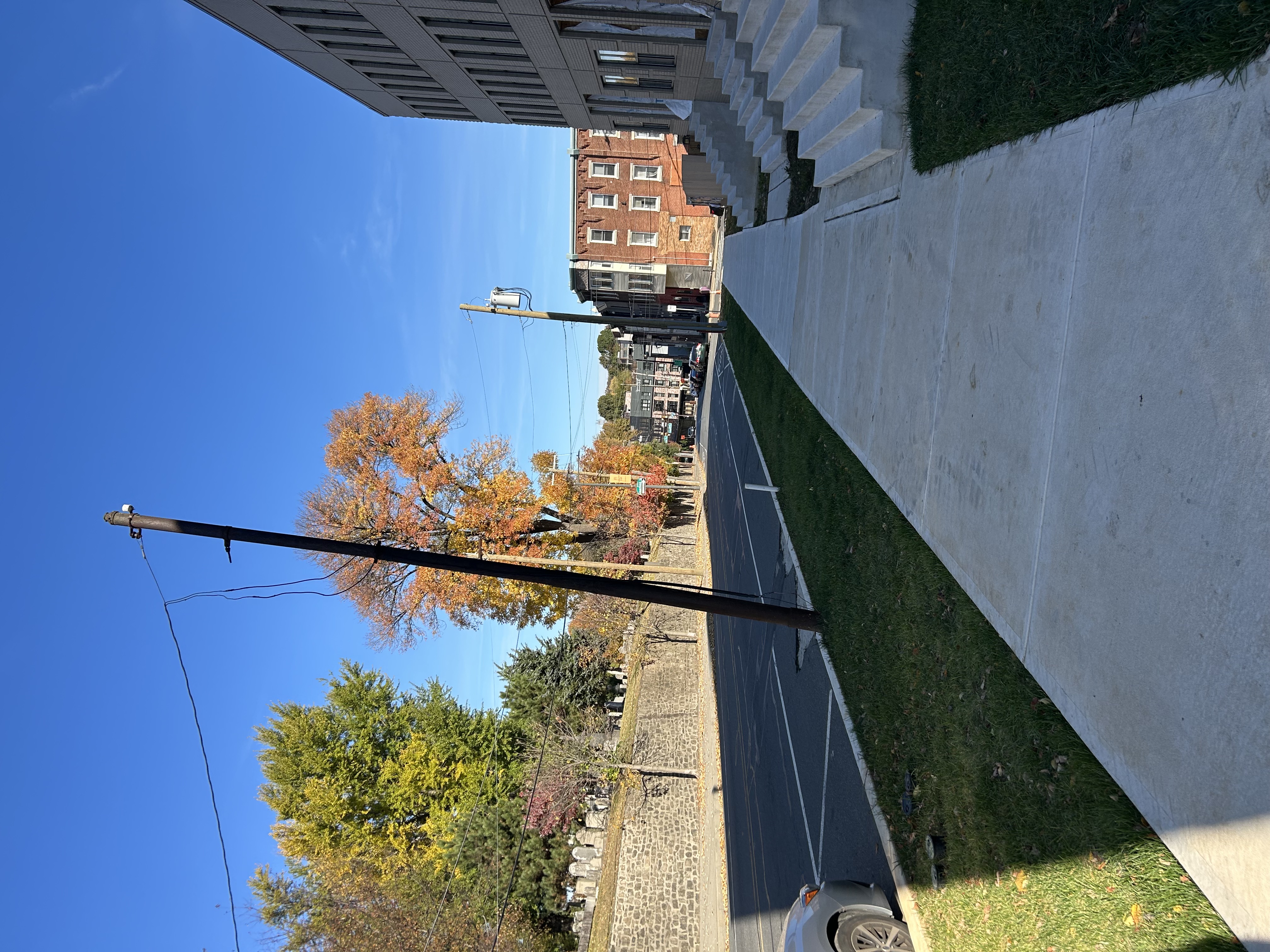 3929 Ridge Avenue Philadelphia, PA 19132 - Photo 5 of 13 a view of an outdoor space and a yard