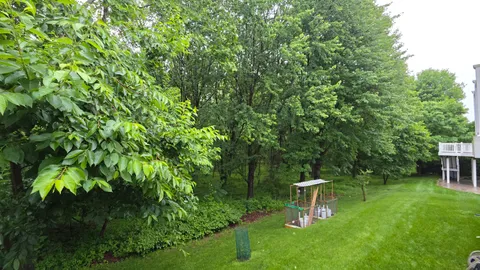 a view of a backyard with a garden