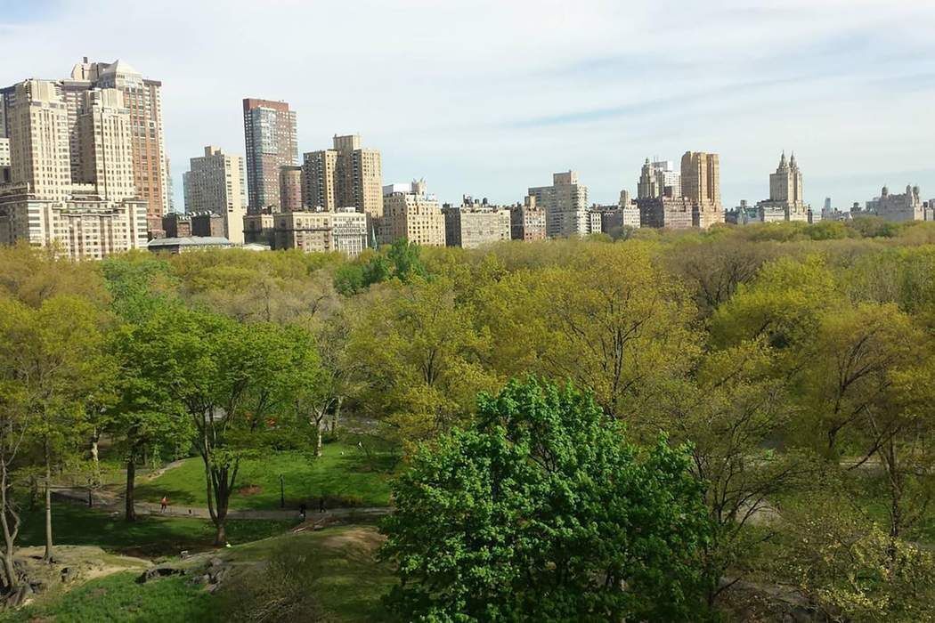 128 Central Park South, Unit 9B Manhattan, NY 10019 - Photo 10 of 11 a view of a city with tall buildings
