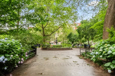 a view of a yard with plants and trees