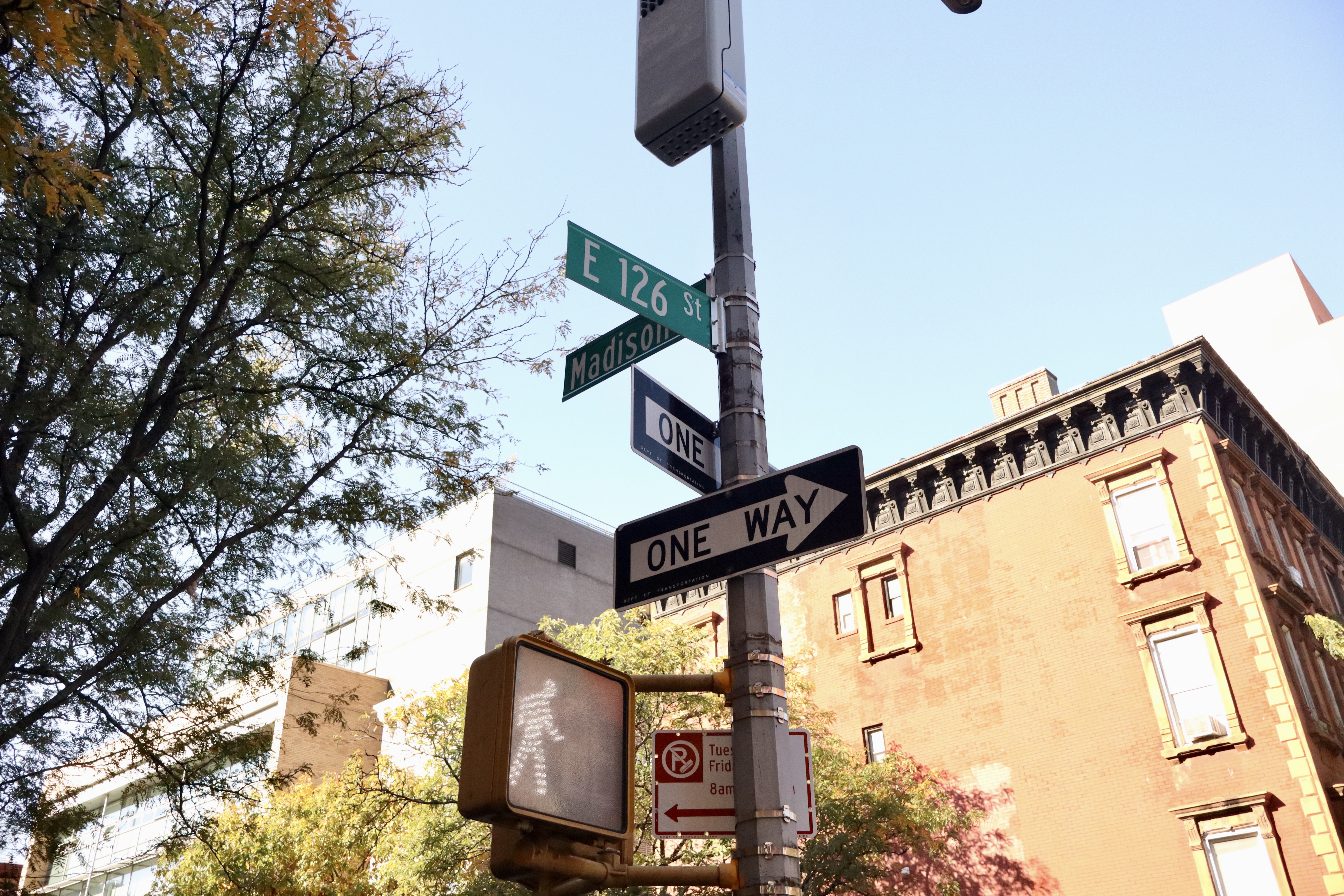 66 East 126th Street Manhattan, NY 10035 - Photo 22 of 23