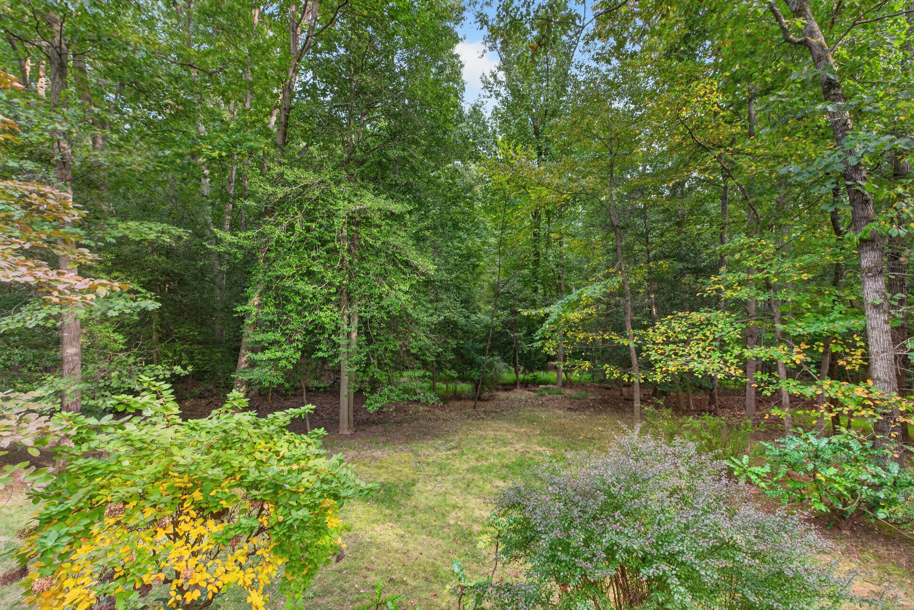 11411 Running Cedar Road Reston, VA 20191 - Photo 14 of 28 Gallery Image 14
