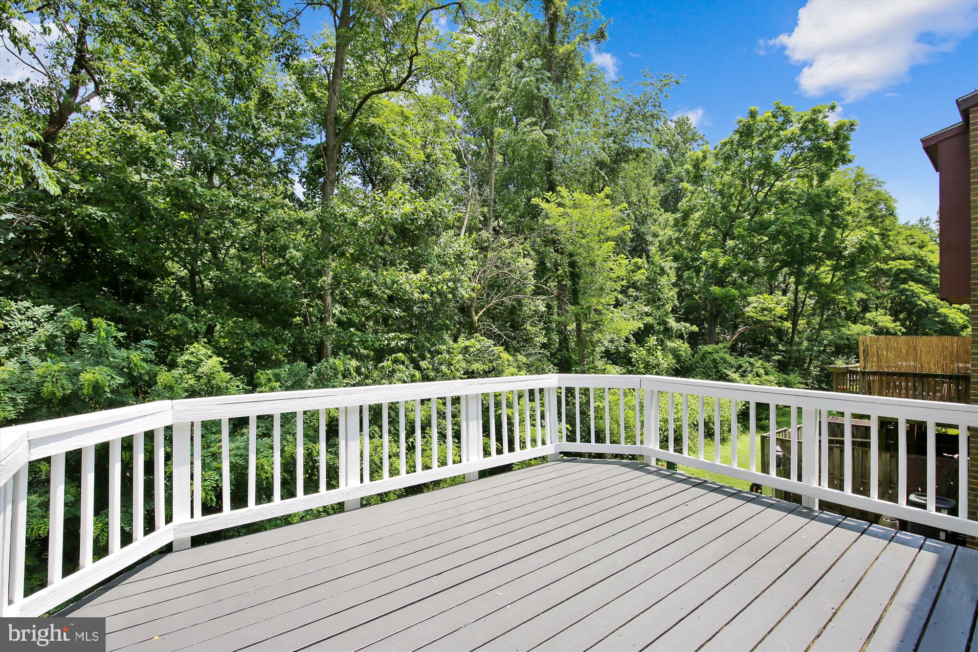 10759 Lester Street Silver Spring, MD 20902 - Photo 4 of 5