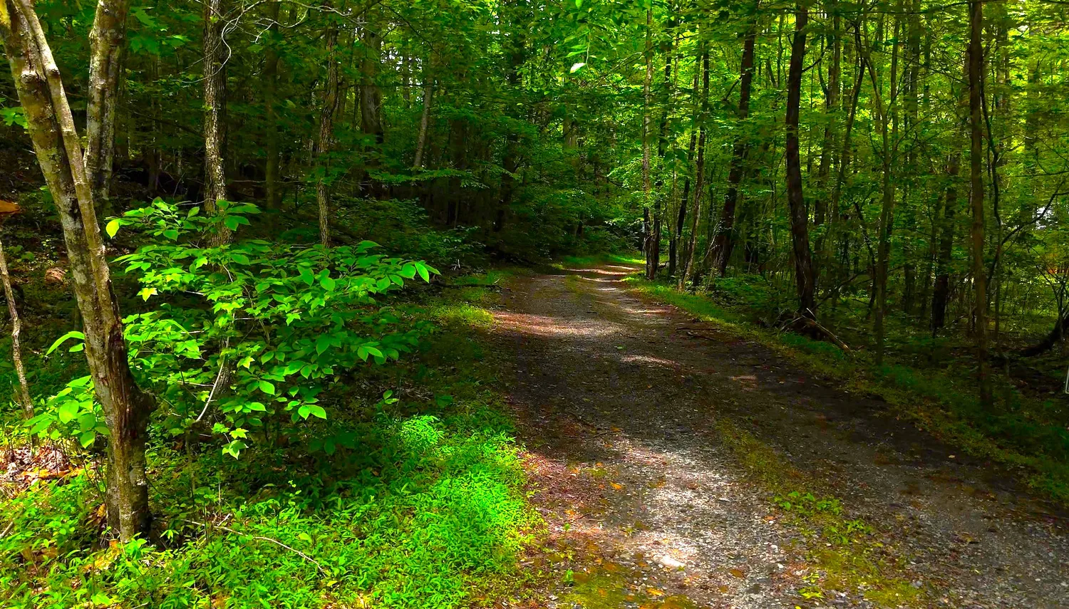 $55,000 | Nocona Trail, Ellijay, GA 30536