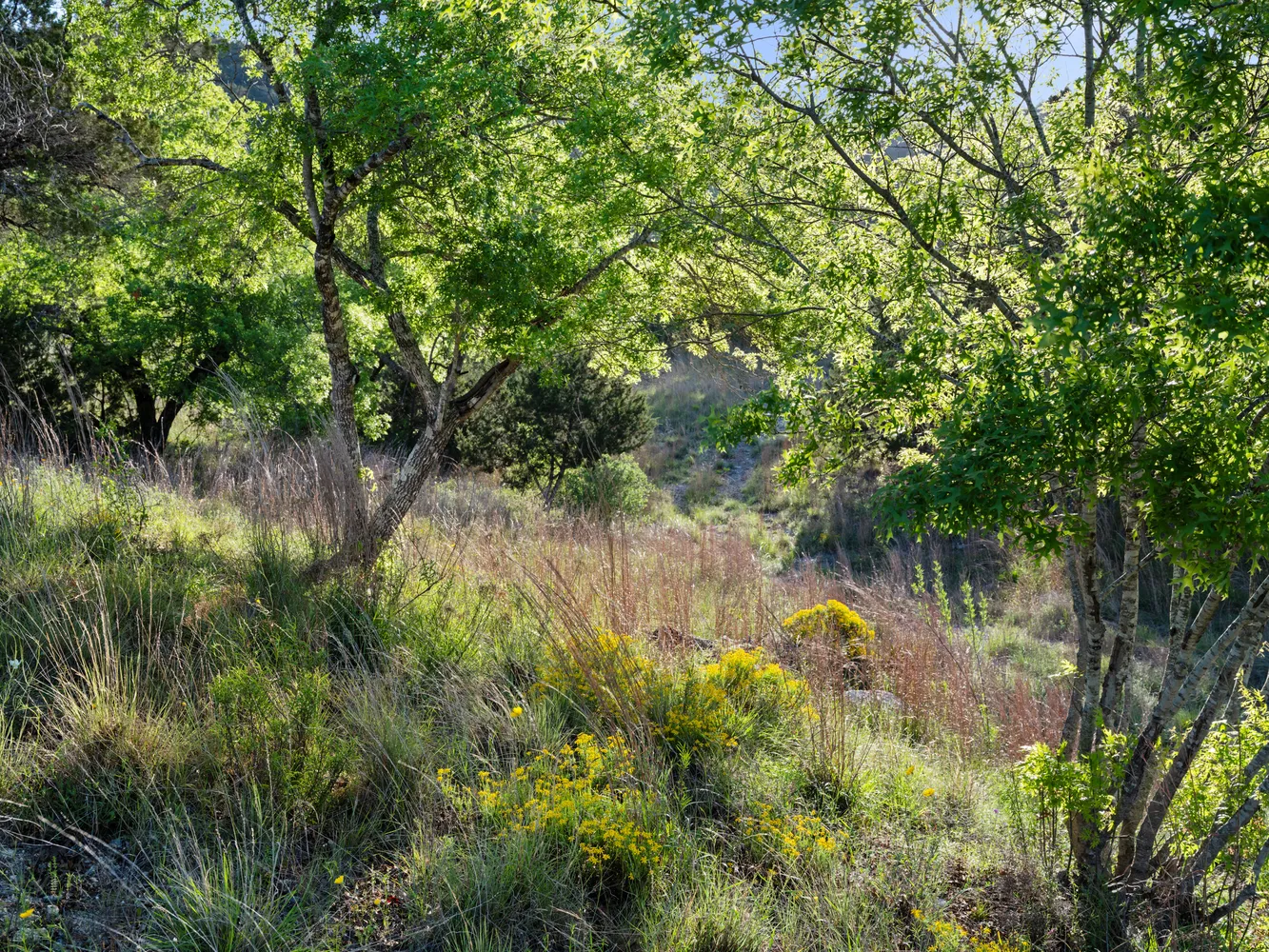 $3,150,000 | 6509 Damianita Drive, Austin, TX 78738