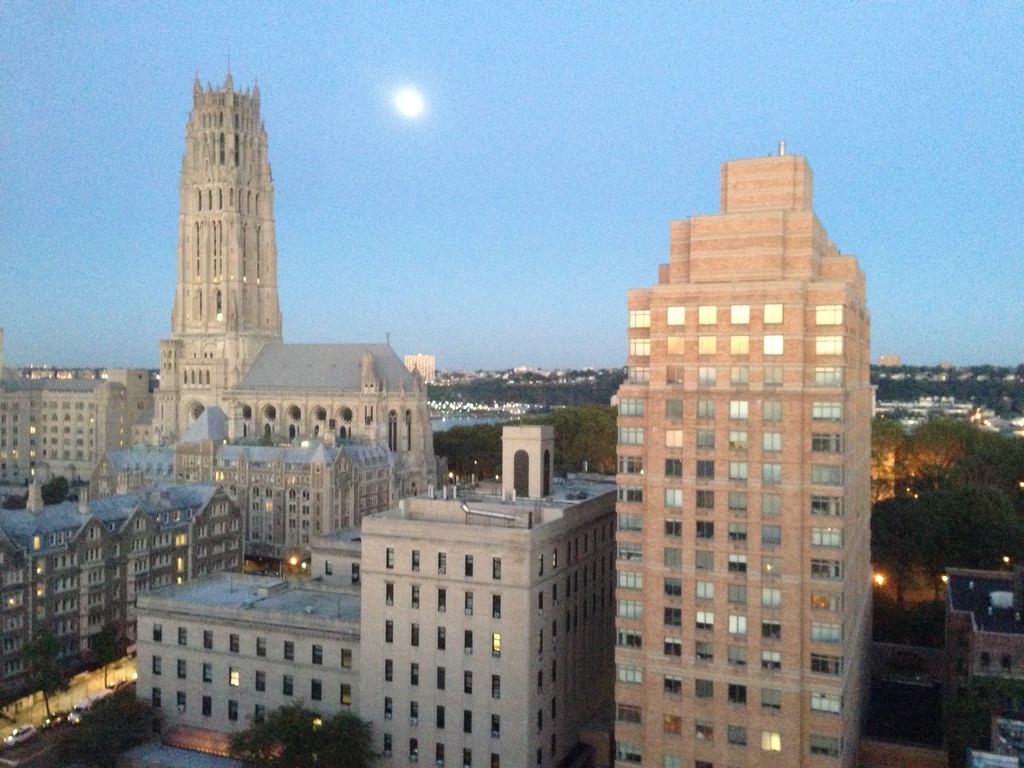 549 West 123rd Street, Unit 20G Manhattan, NY 10027 - Photo 13 of 18