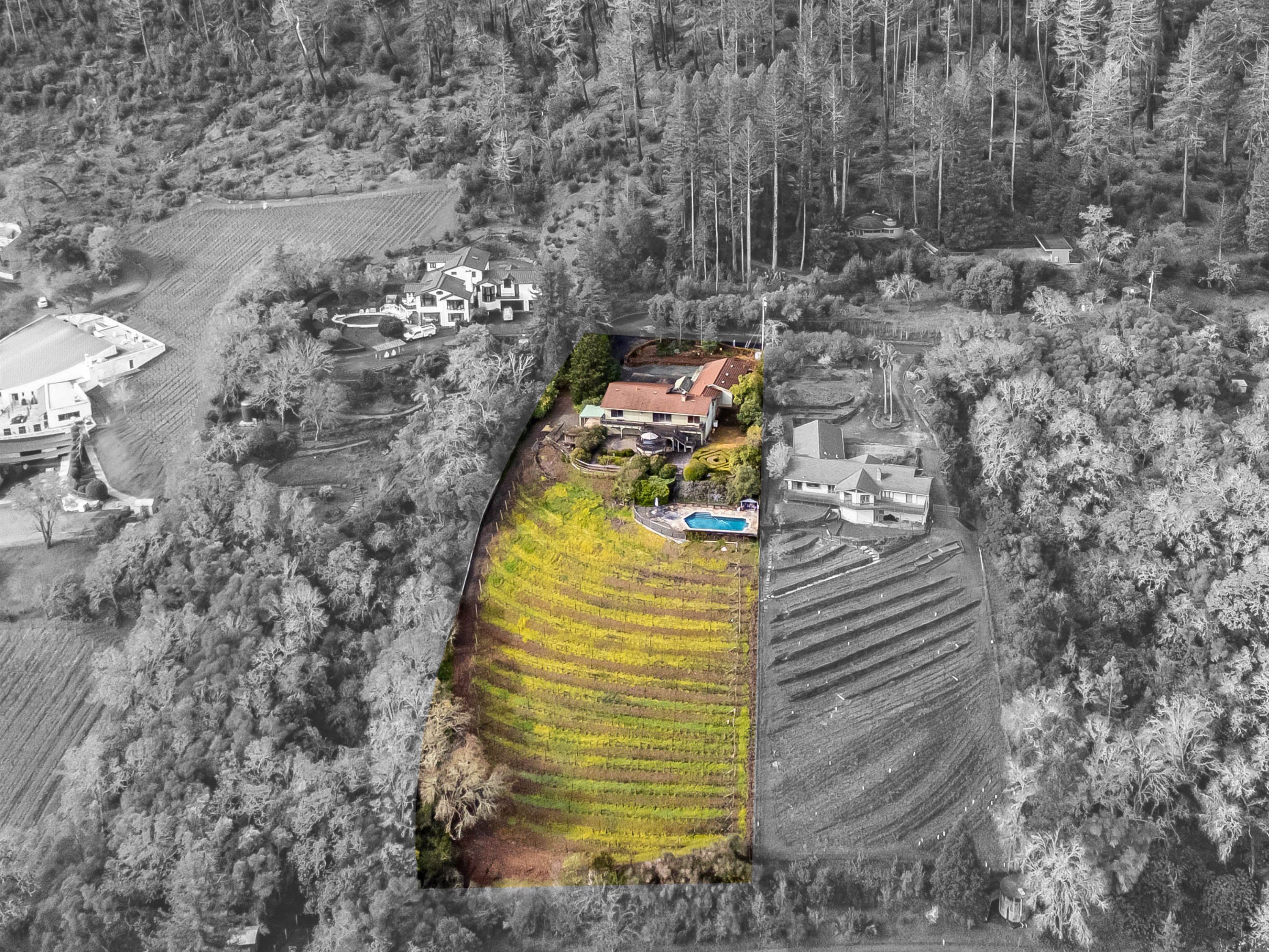 1291 Rockland Drive St. Helena, CA 94574 - Photo 26 of 26 a view of a pathway with a yard