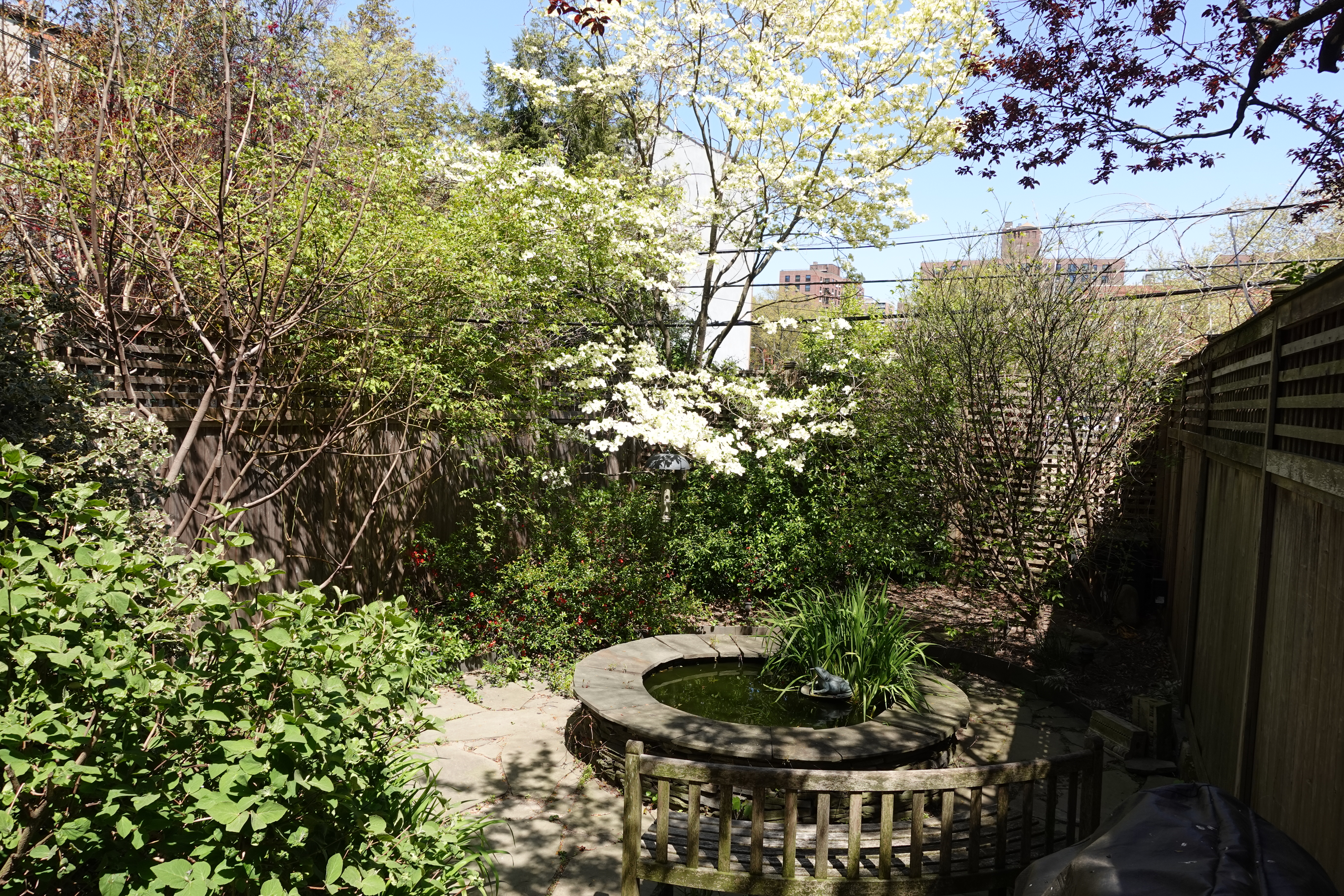 343 Adelphi Street Brooklyn, NY 11238 - Photo 20 of 21