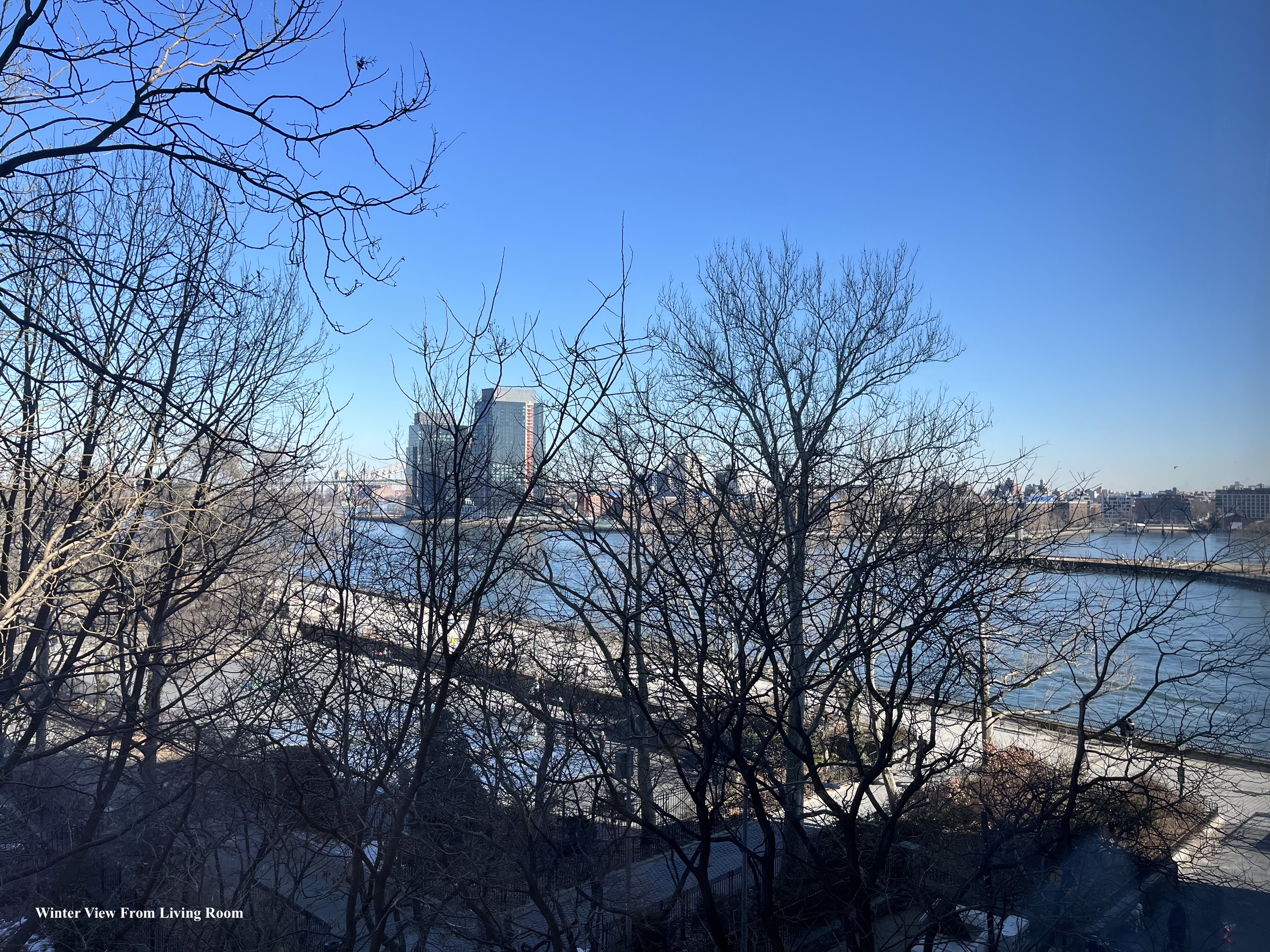 7 Gracie Square, Unit 5A Manhattan, NY 10128 - Photo 5 of 26 a view of a forest