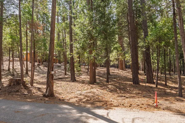 a view of a trees with a yard