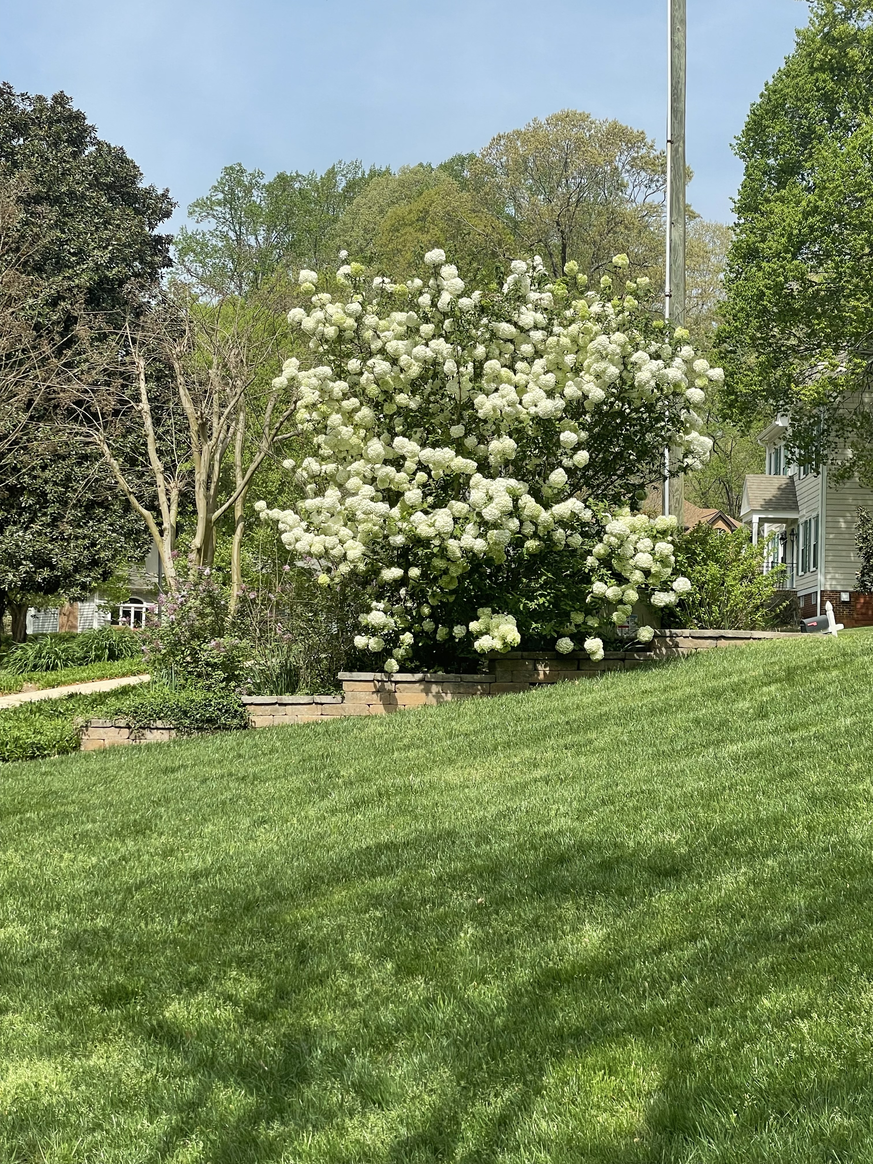 4117 Worley Drive Raleigh, NC 27613 - Photo 5 of 14