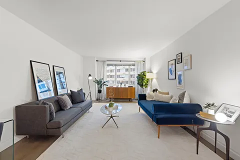 a living room with furniture and a potted plant