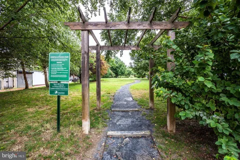 a view of a park with large trees