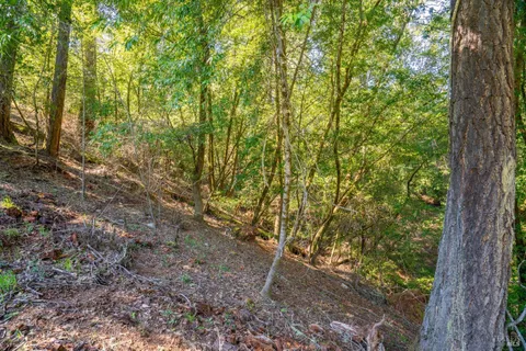 $125,000 | 10608 Canyon Road, Forestville, CA 95436