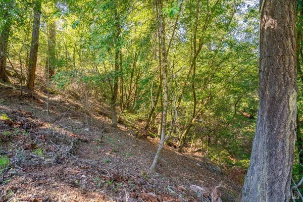 $125,000 | 10608 Canyon Road, Forestville, CA 95436