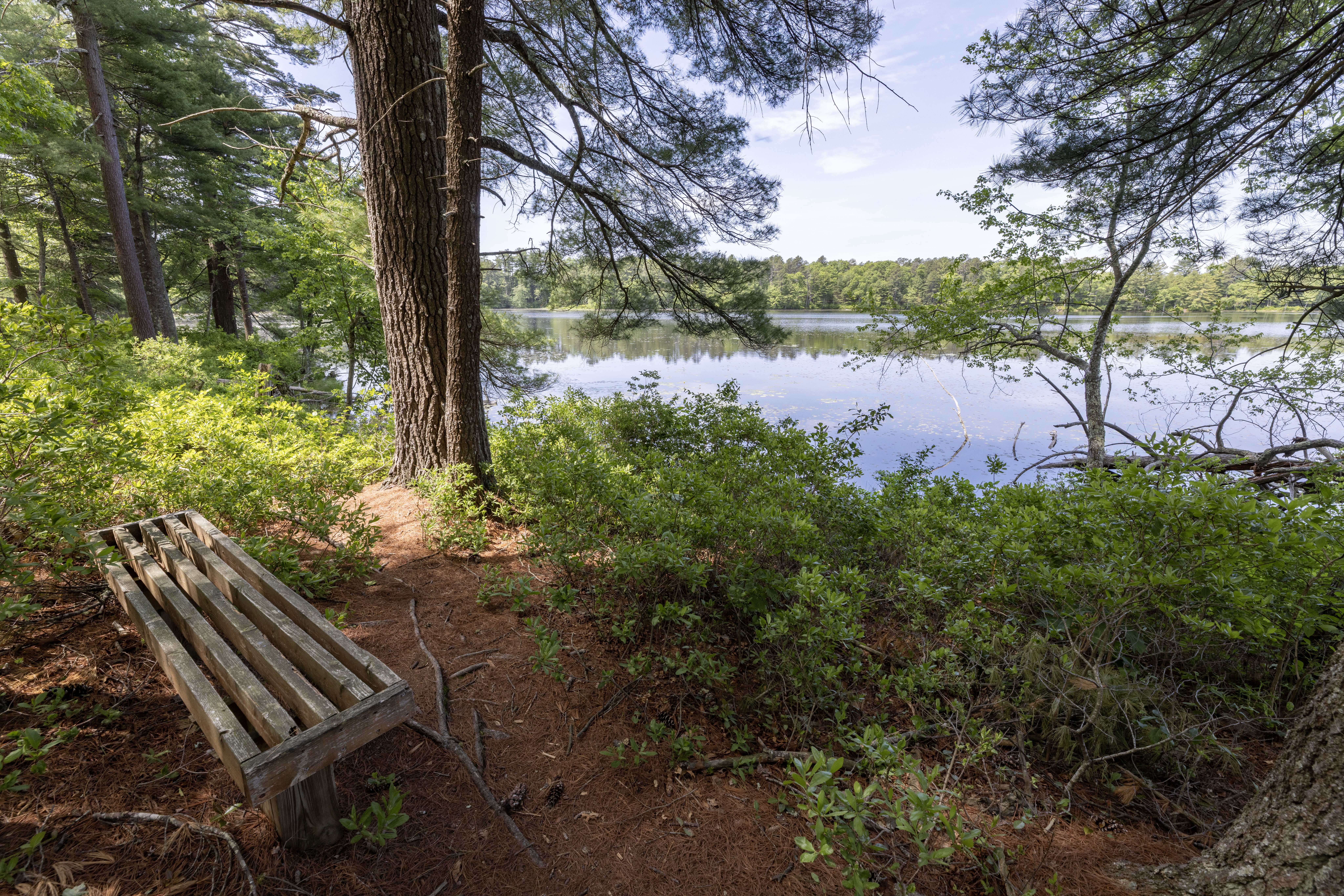 216 Plain Road West Greenwich, RI 02817 - Photo 10 of 23