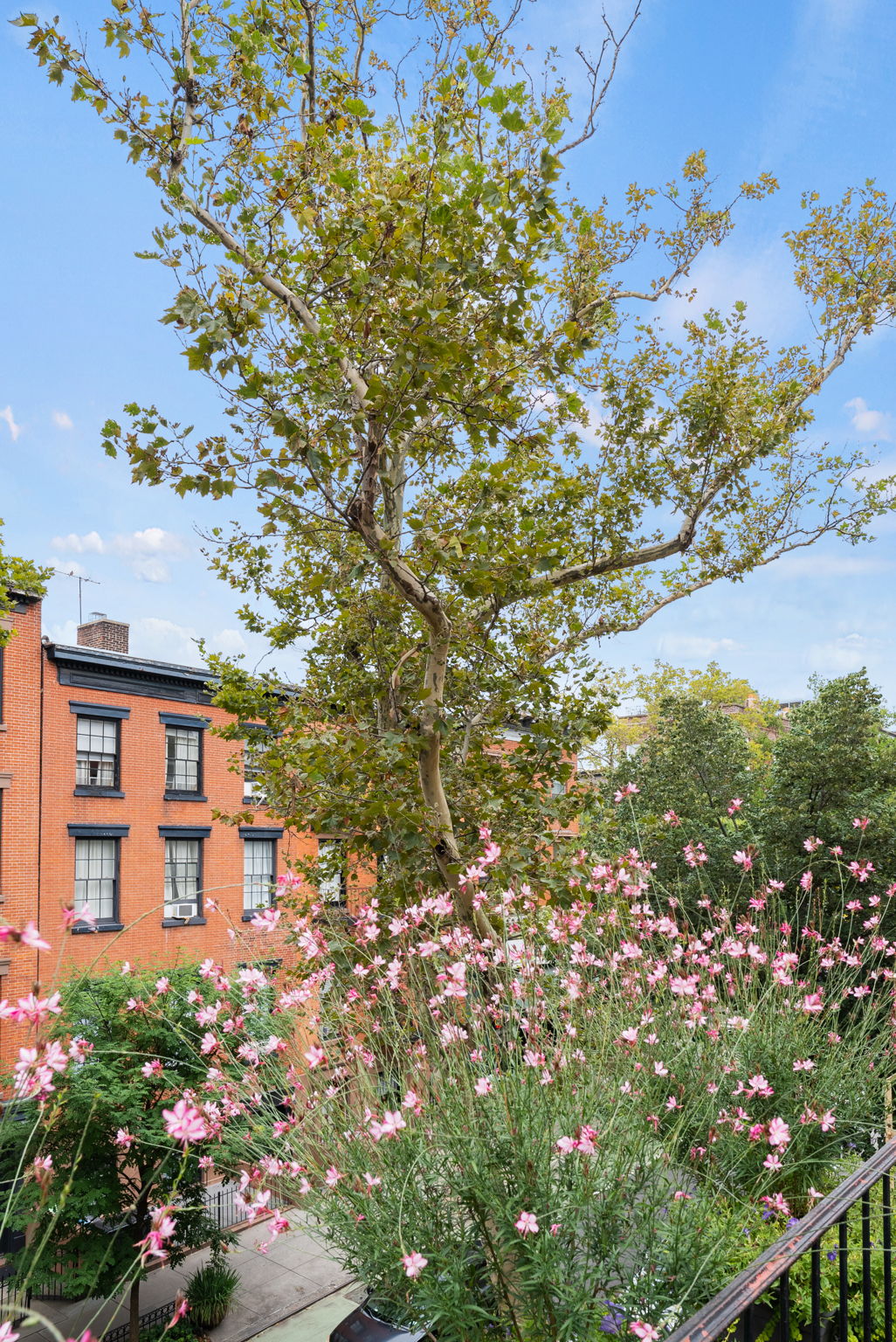 311 Henry Street, Unit 3 Brooklyn, NY 11201 - Photo 9 of 10