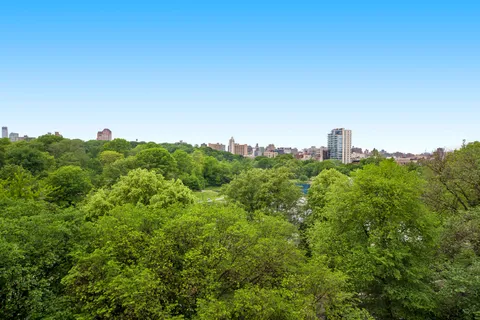 a view of a bunch of trees