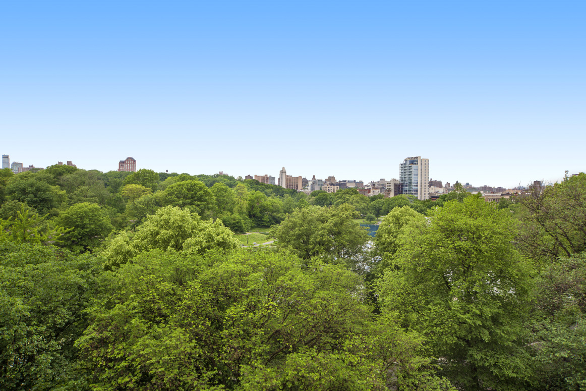 1255 5th Avenue, Unit 6D Manhattan, NY 10029 - Photo 3 of 13 a view of a city with lush green forest