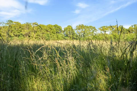 $1,290,000 | 332 John Shaw Road, Lewisburg, TN 37091