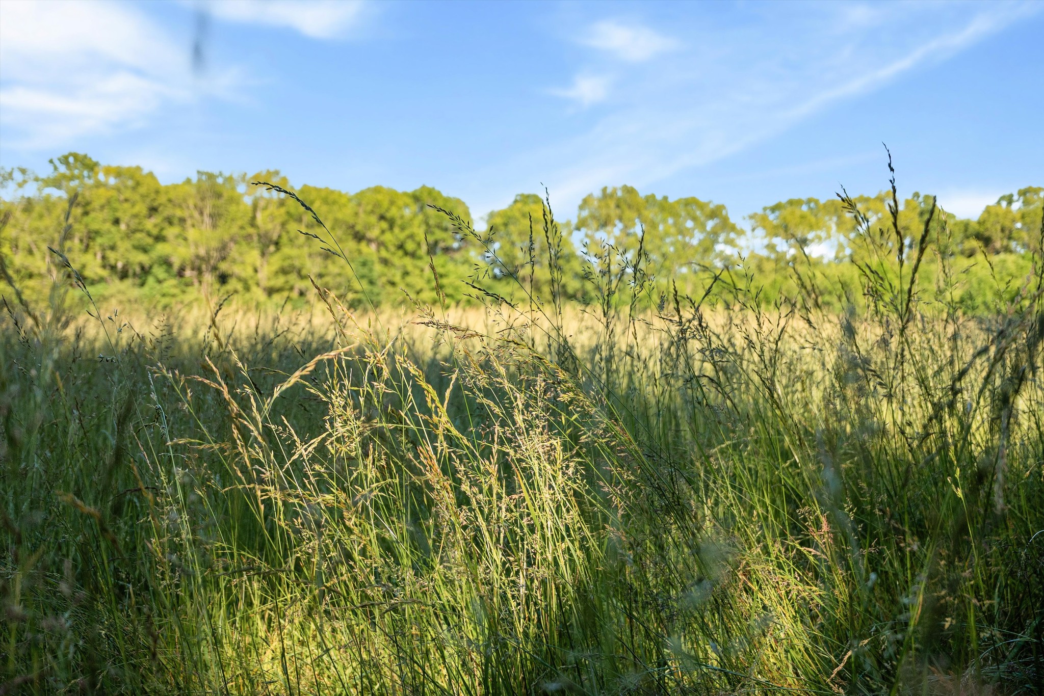 332 John Shaw Road Lewisburg, TN 37091 - Photo 70 of 79