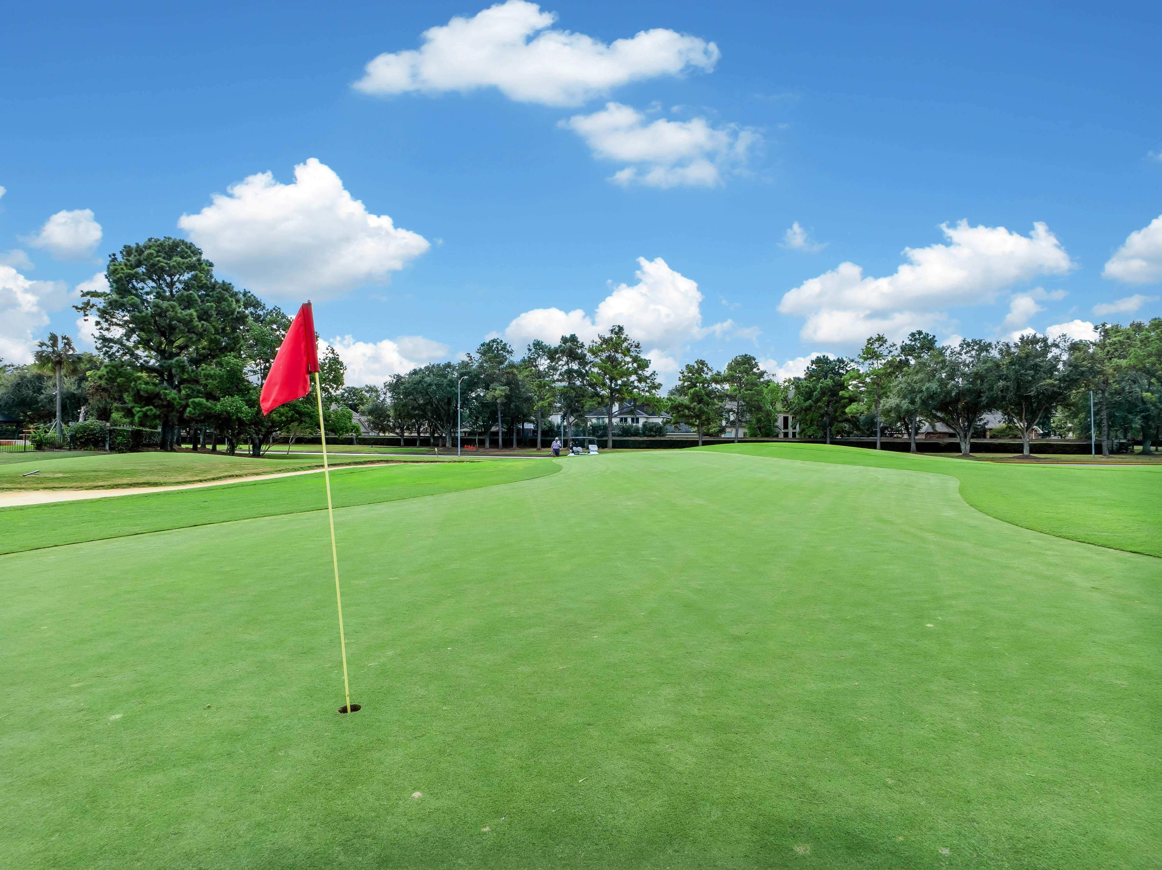 20730 Windrose Bend Drive Spring, TX 77379 - Photo 57 of 59