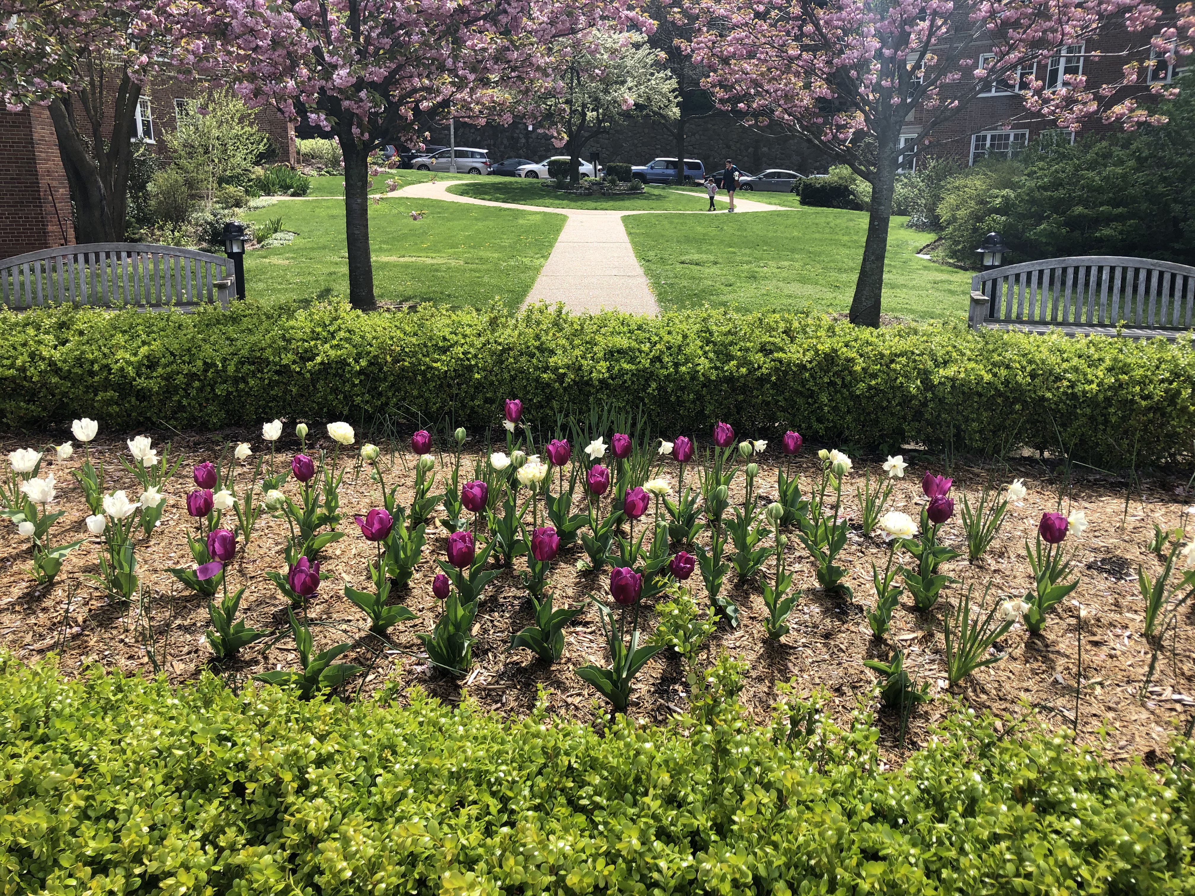 120 Cabrini Boulevard, Unit 76 Manhattan, NY 10033 - Photo 15 of 24 a view of a garden with flowers and trees