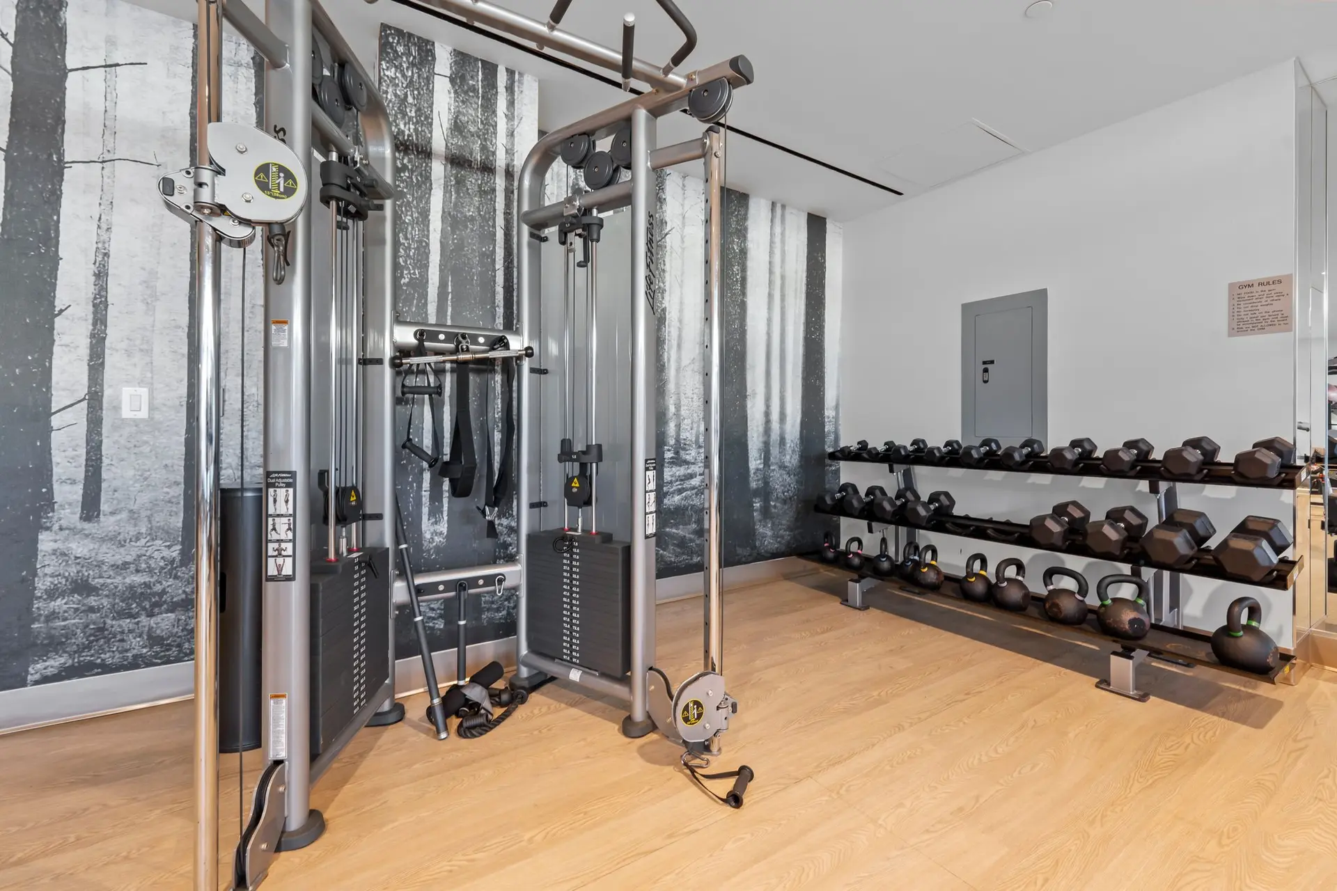 350 Clarkson Avenue, Unit 103 Brooklyn, NY 11226 - Photo 16 of 42 a gym room with gym equipment