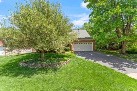 a view of a yard with a house and a tree