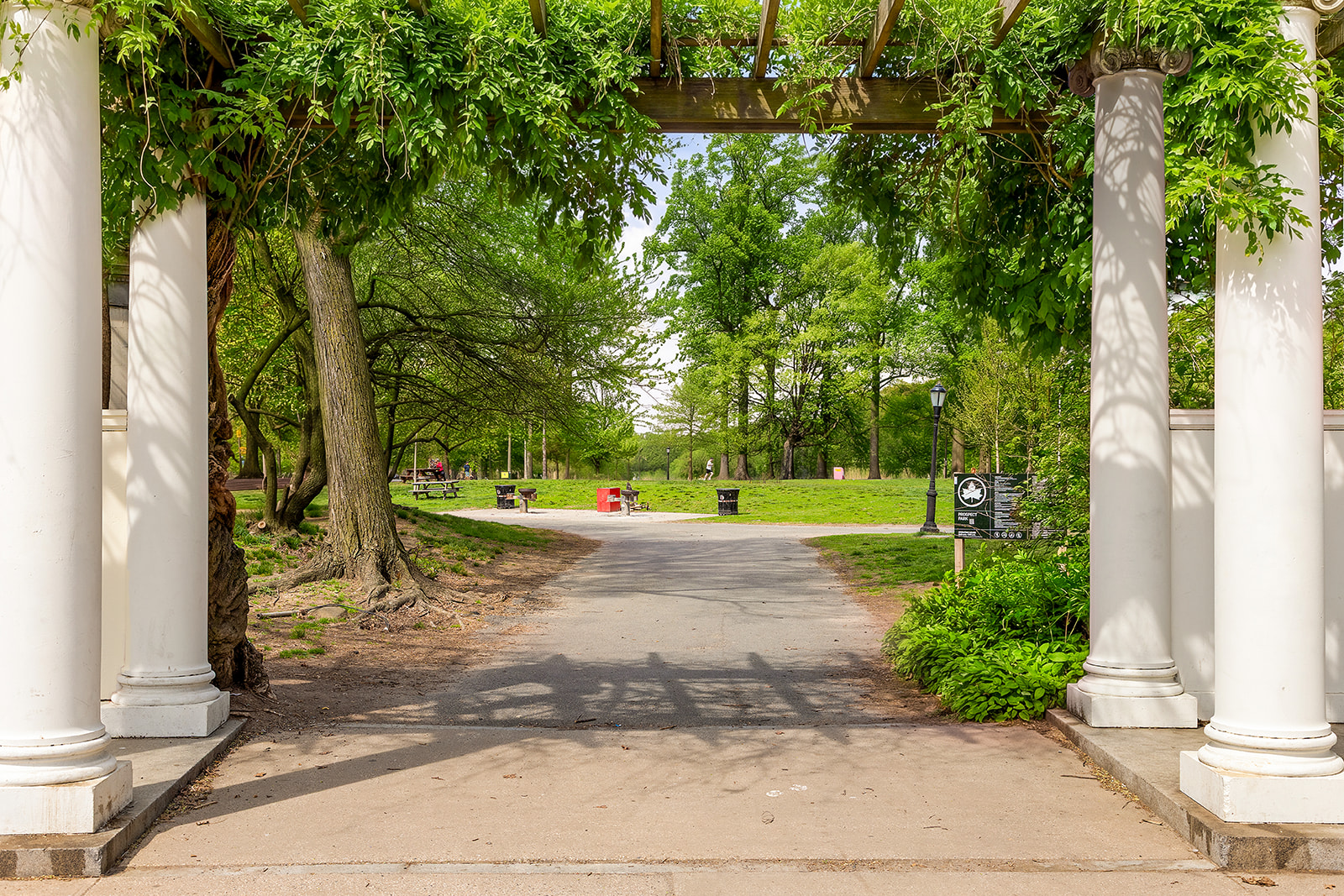 219 Fenimore Street Brooklyn, NY 11225 - Photo 22 of 24 a view of a park with plants and trees
