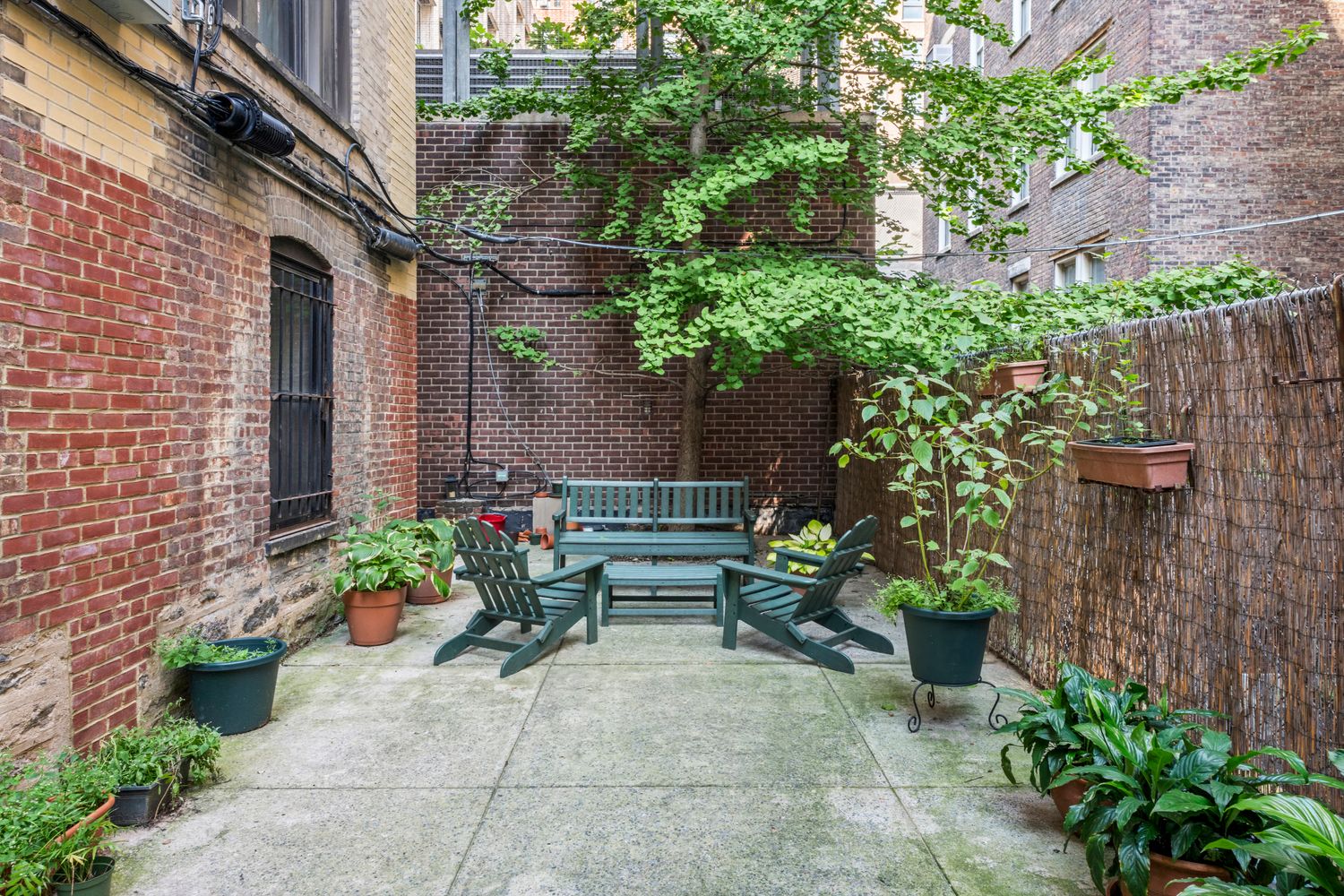 a view of a backyard with plants and a bench