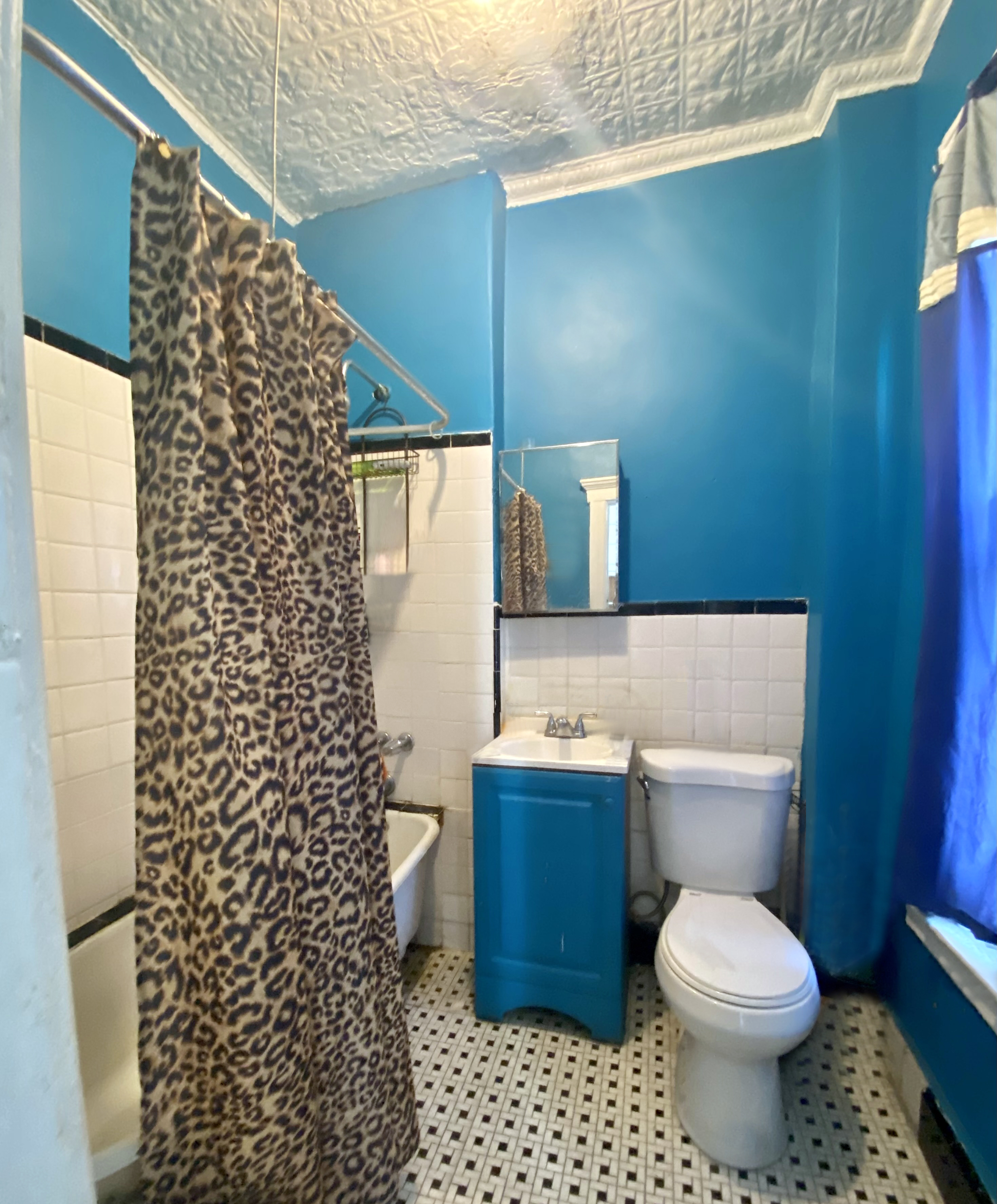 164 Clifton Place Brooklyn, NY 11238 - Photo 8 of 12