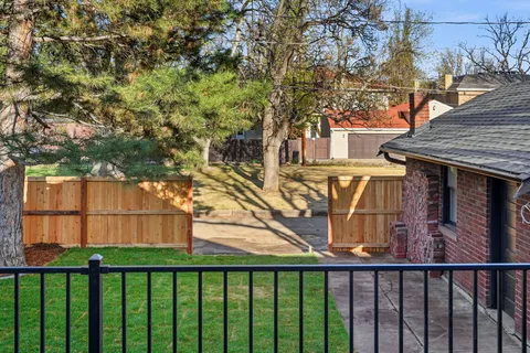 a view of a small yard and large trees