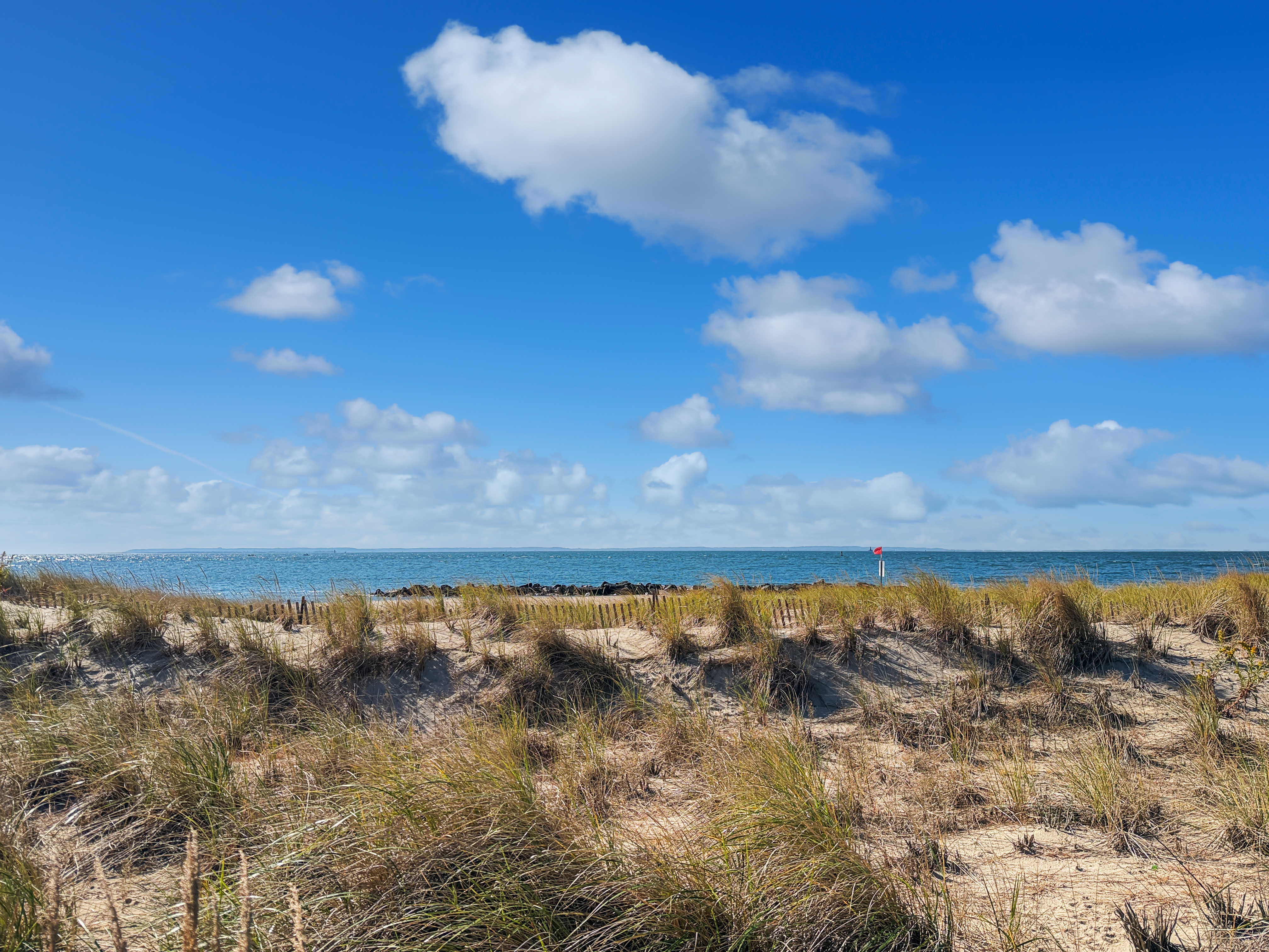 3848 Atlantic Avenue Brooklyn, NY 11224 - Photo 3 of 29 a view of lake view and mountain view