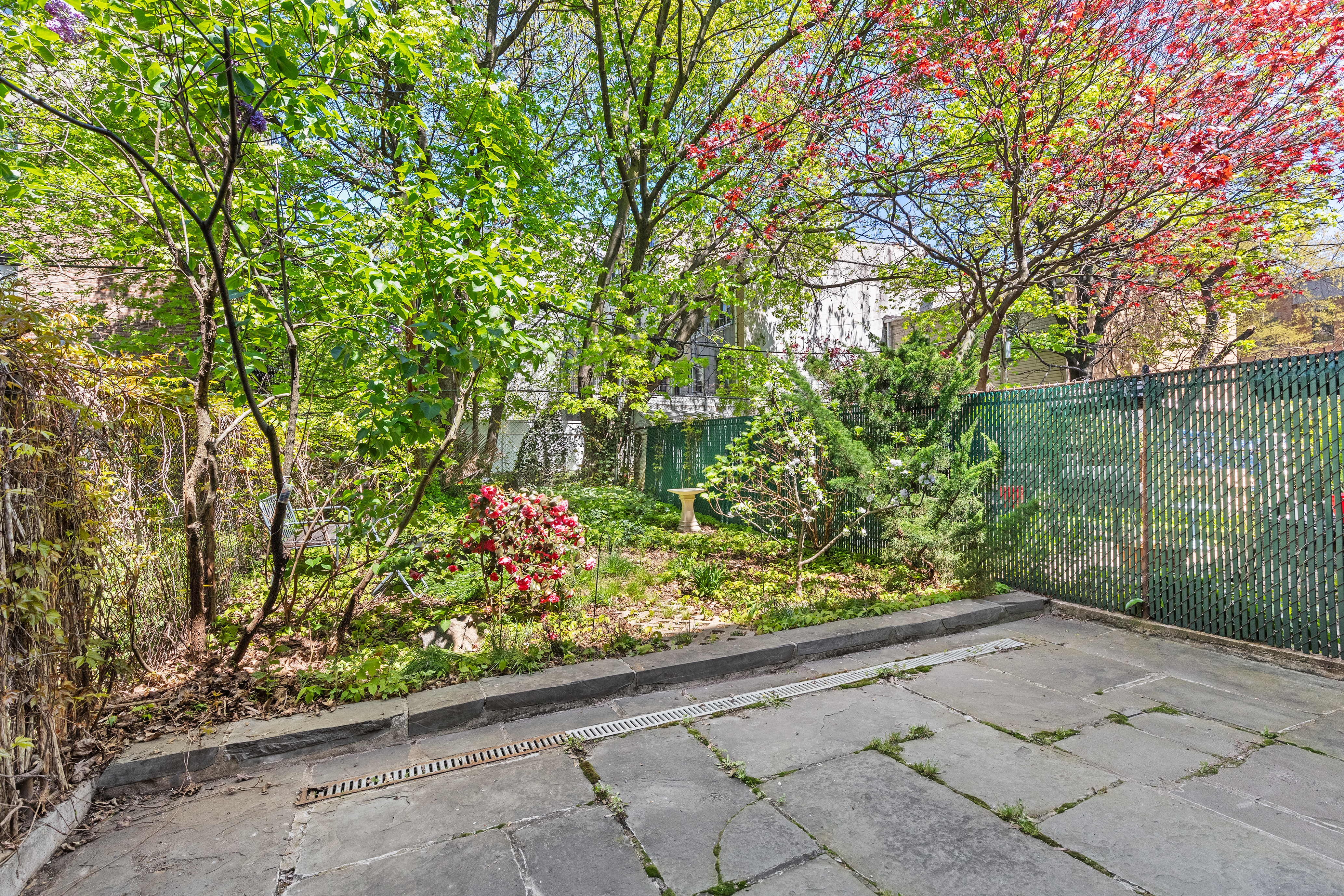 955 Bushwick Avenue Brooklyn, NY 11221 - Photo 14 of 19